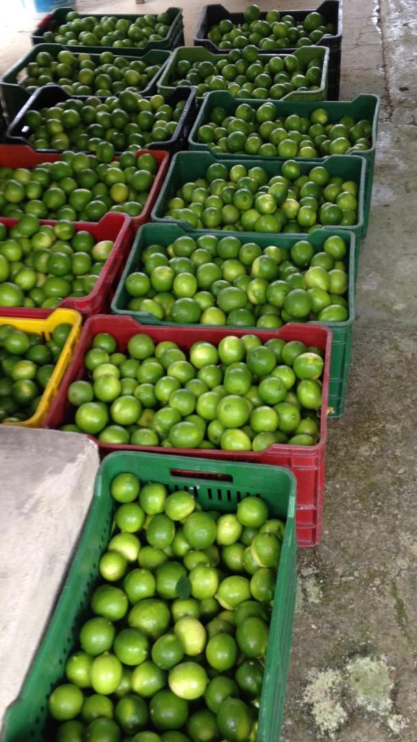 NUEVO- Finca La Belleza-Villeta