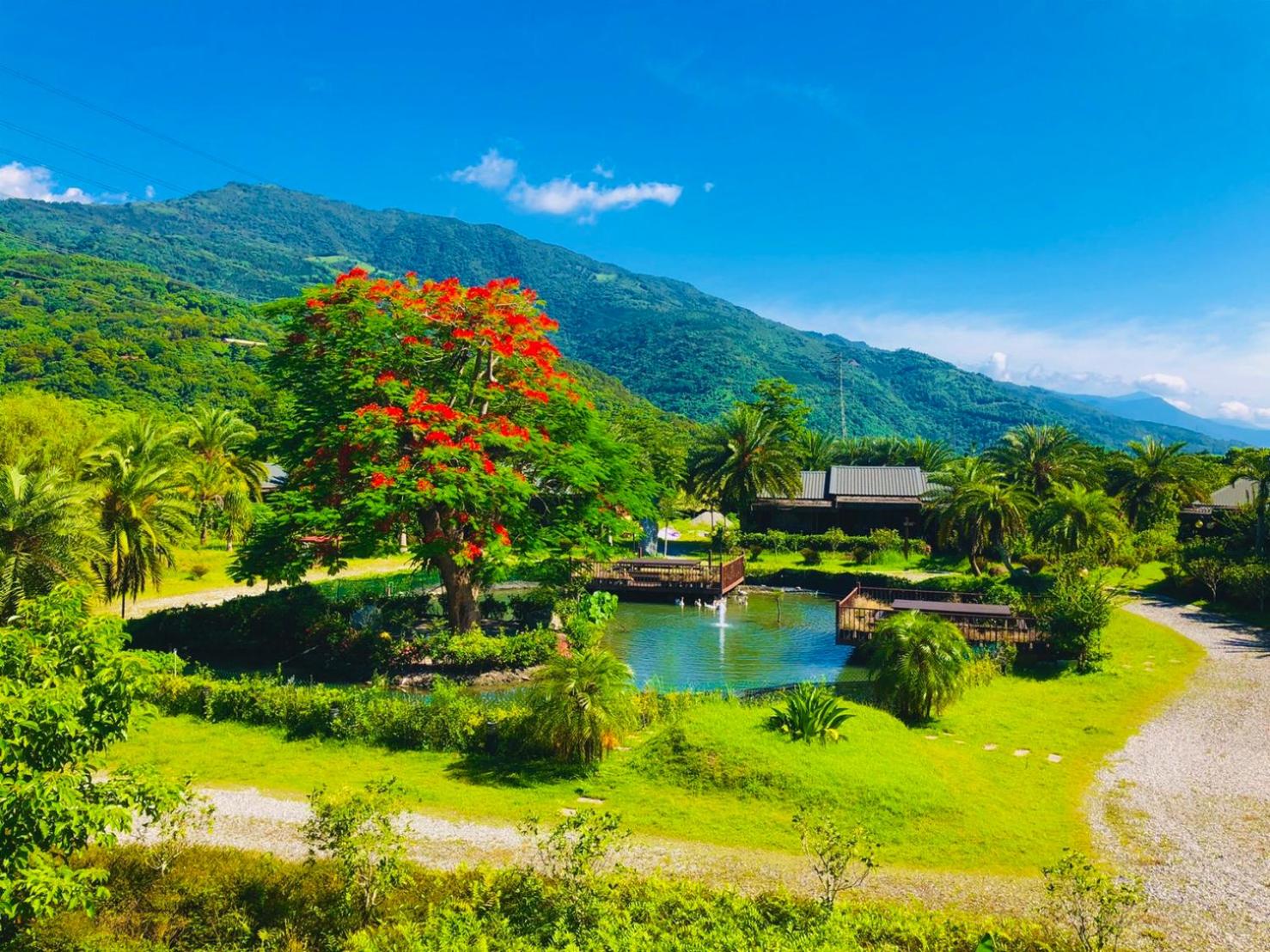 Ruisui Palm Lakes B&B