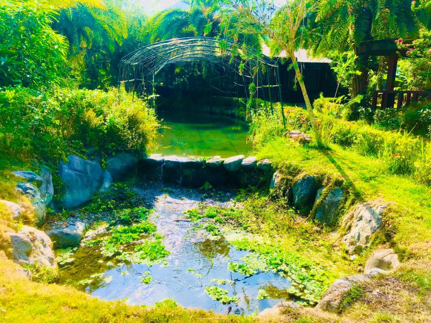 Ruisui Palm Lakes B&B