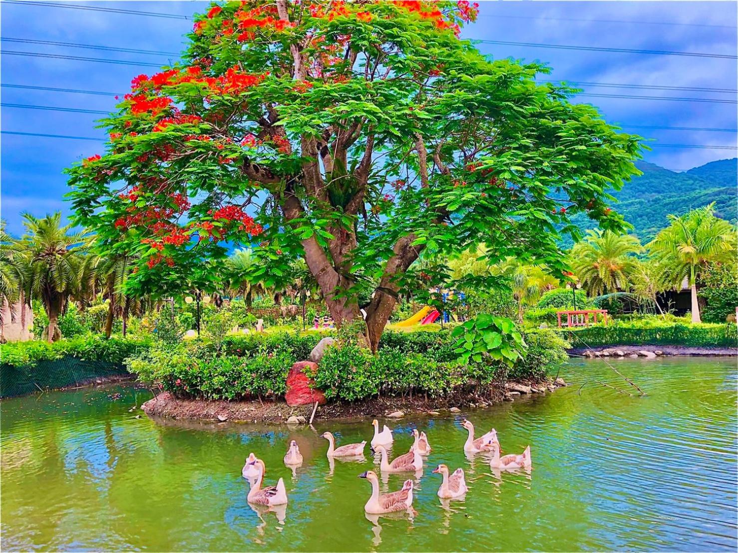 Ruisui Palm Lakes B&B