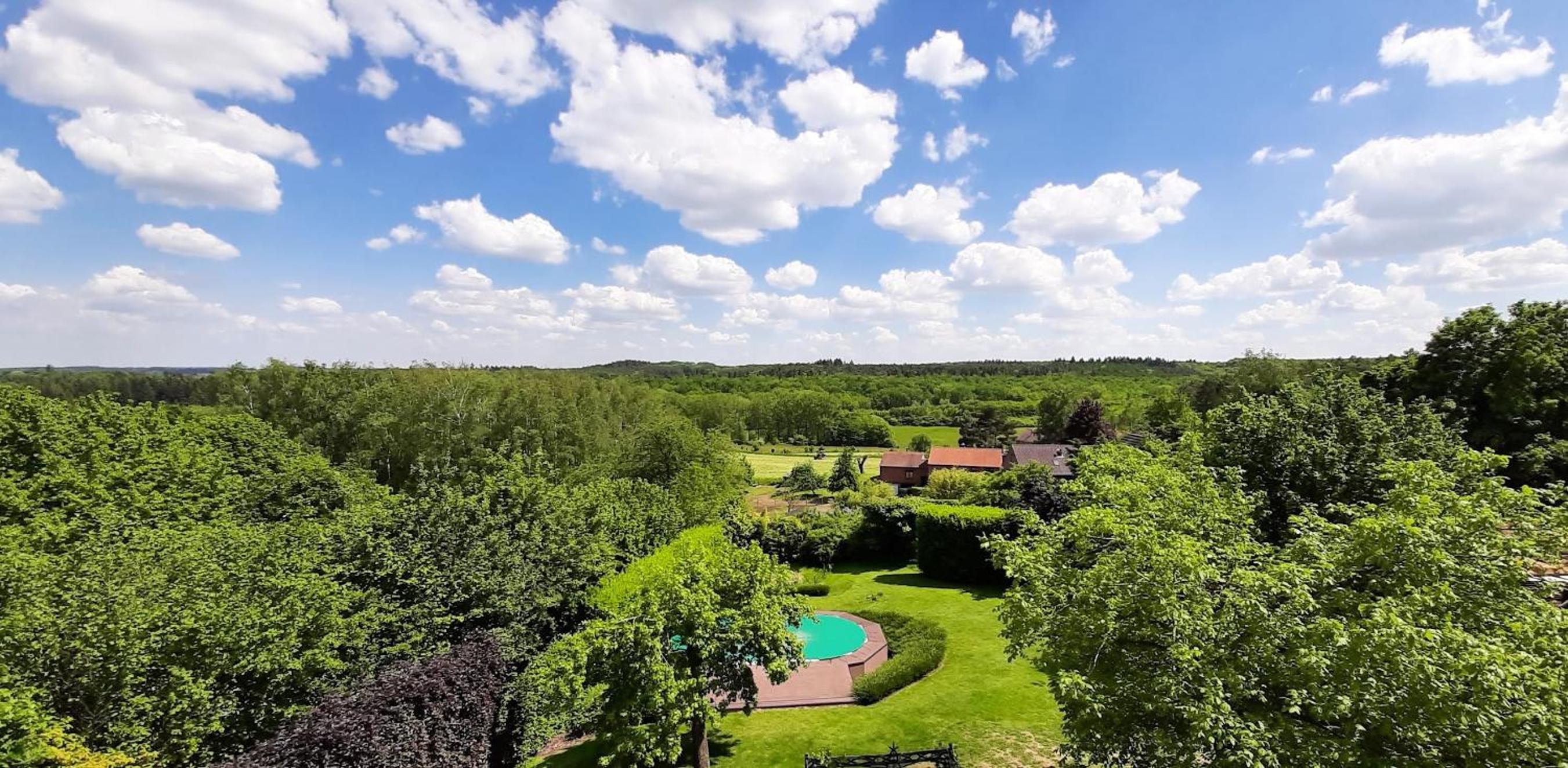 Hallerbos B&B in Bluebell Forest