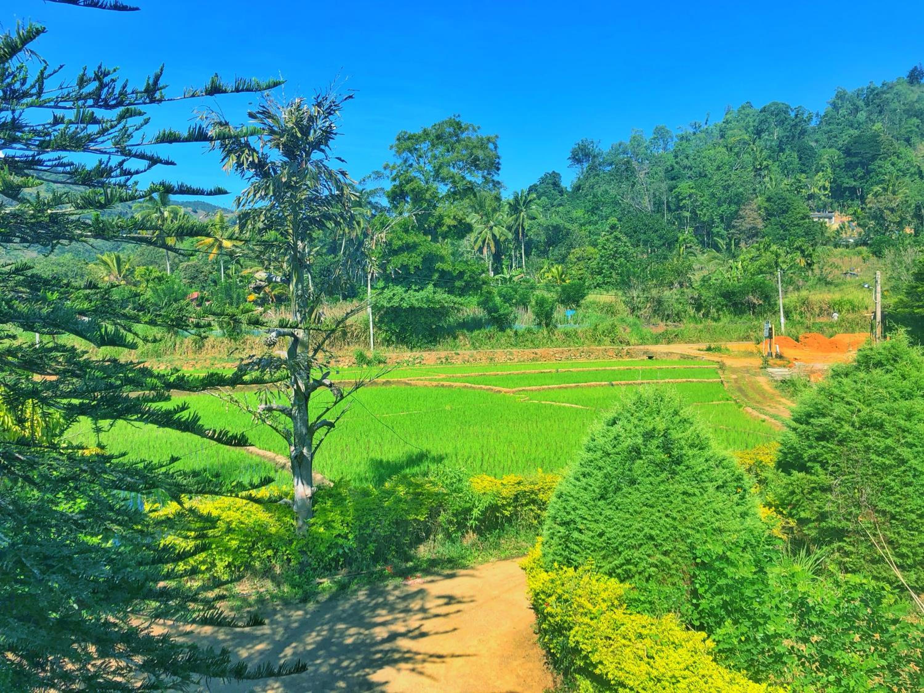 Ella Peace Heaven view 4