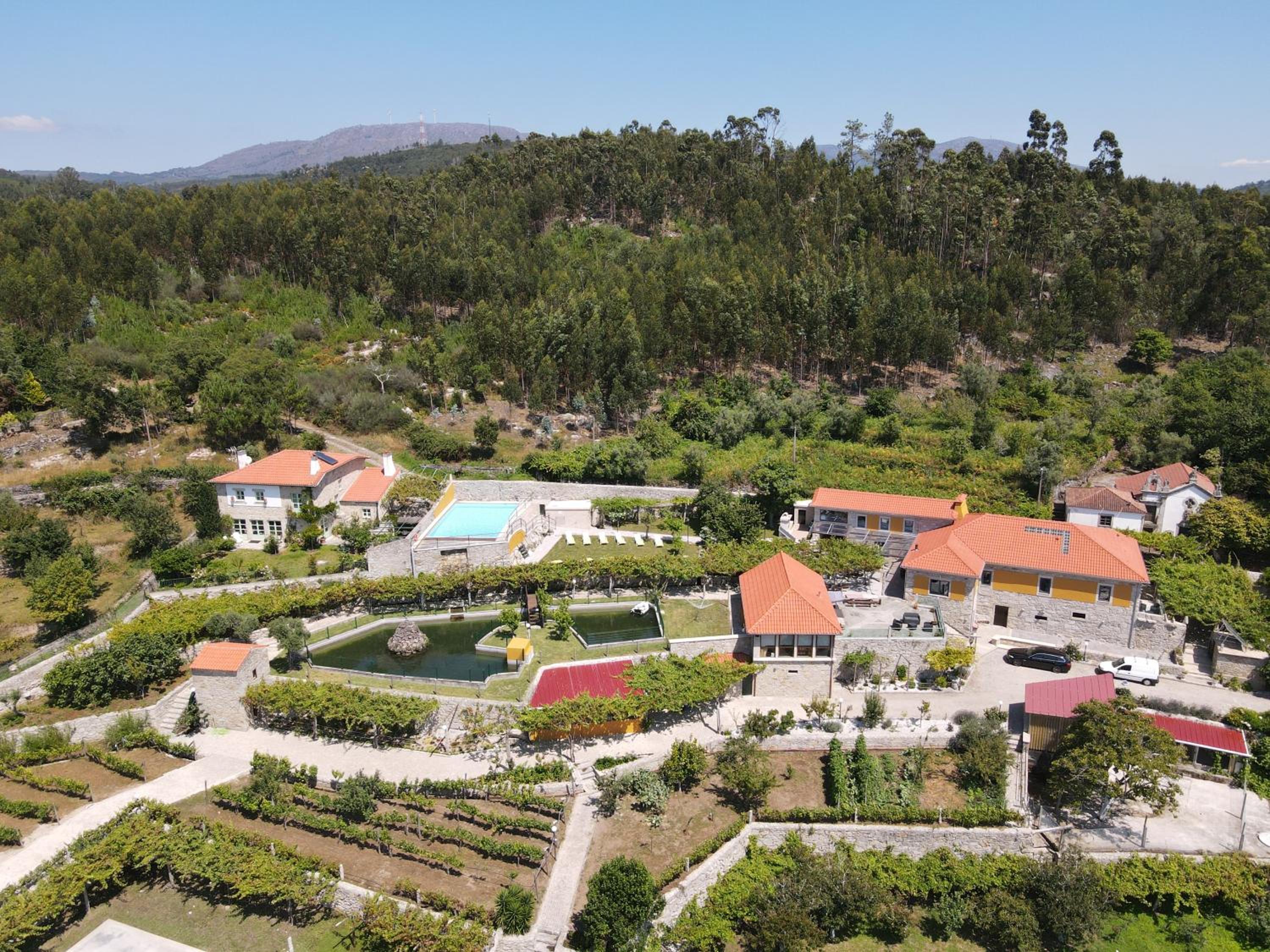 Quinta dos Fangueiros view 5
