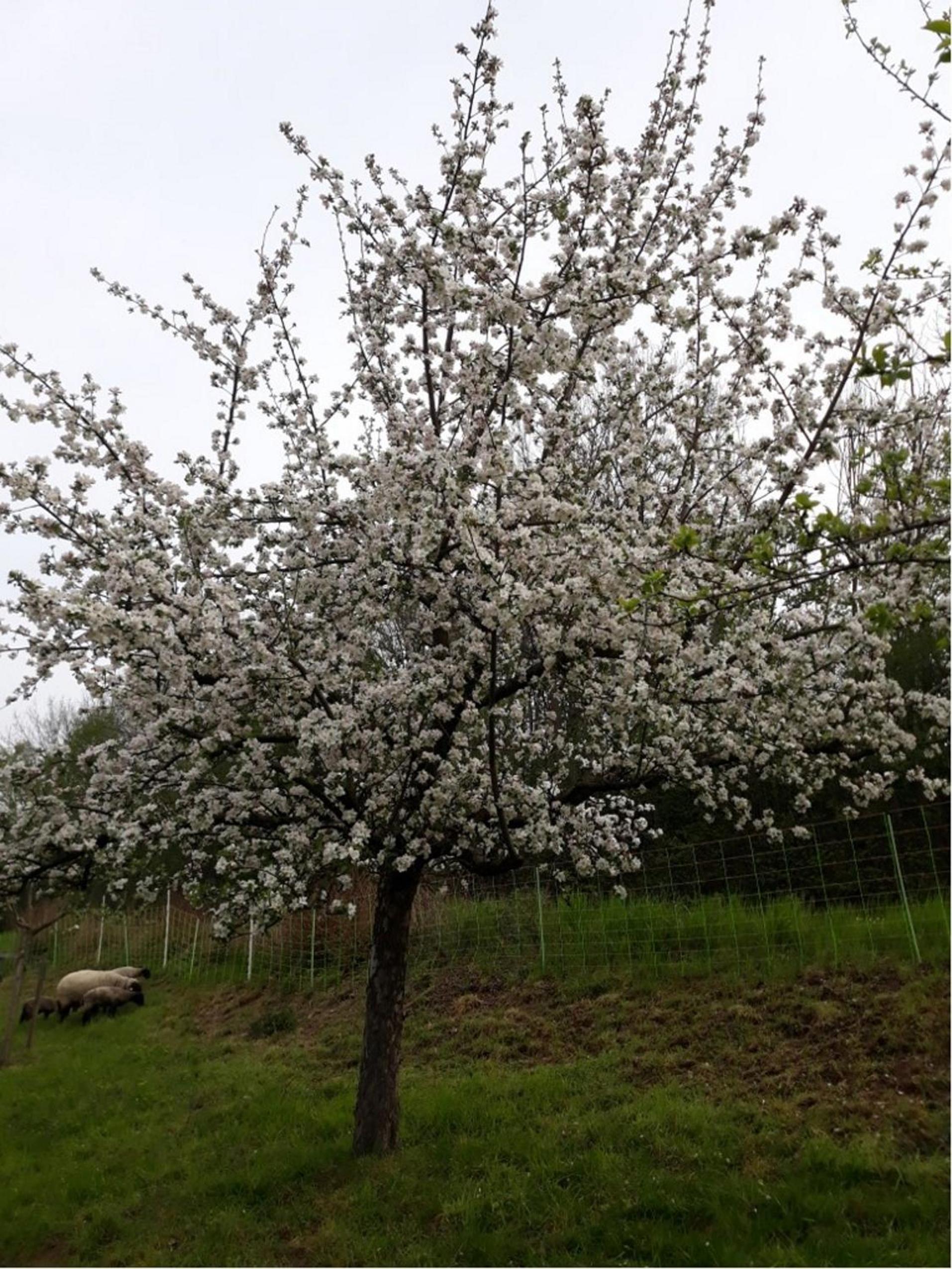 Photo 28