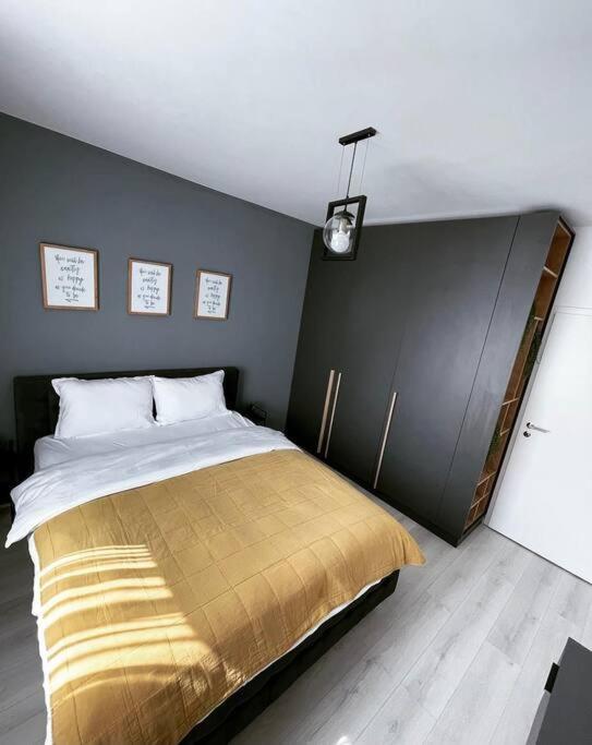 Minimalist Studio Apartment Brașov view 2