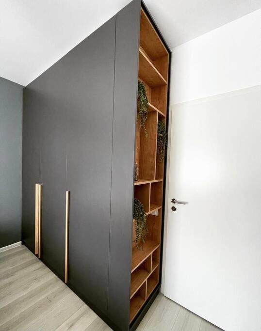 Minimalist Studio Apartment Brașov view 4