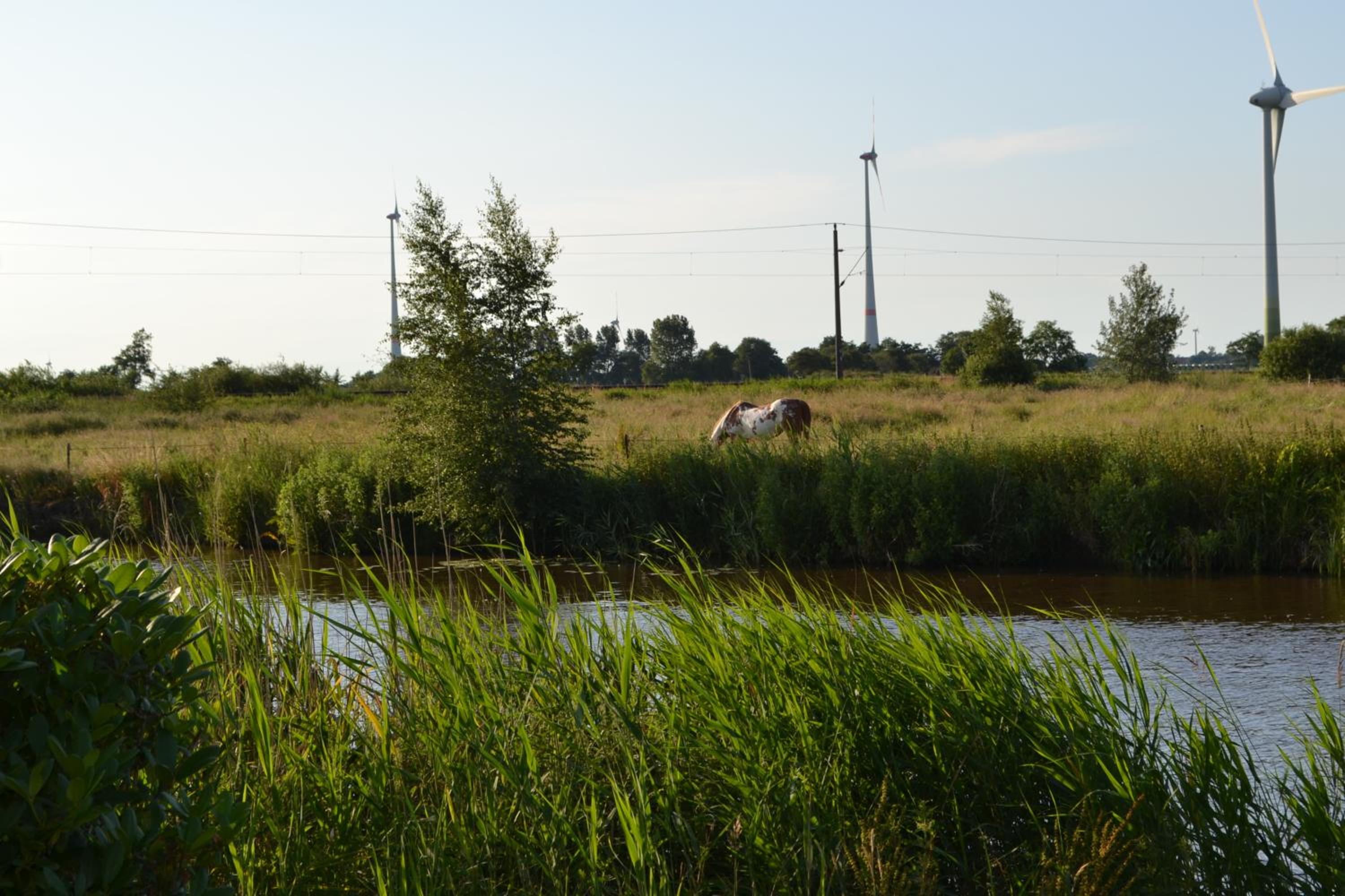 Ferienhaus am Wasser (Knockster Tief)