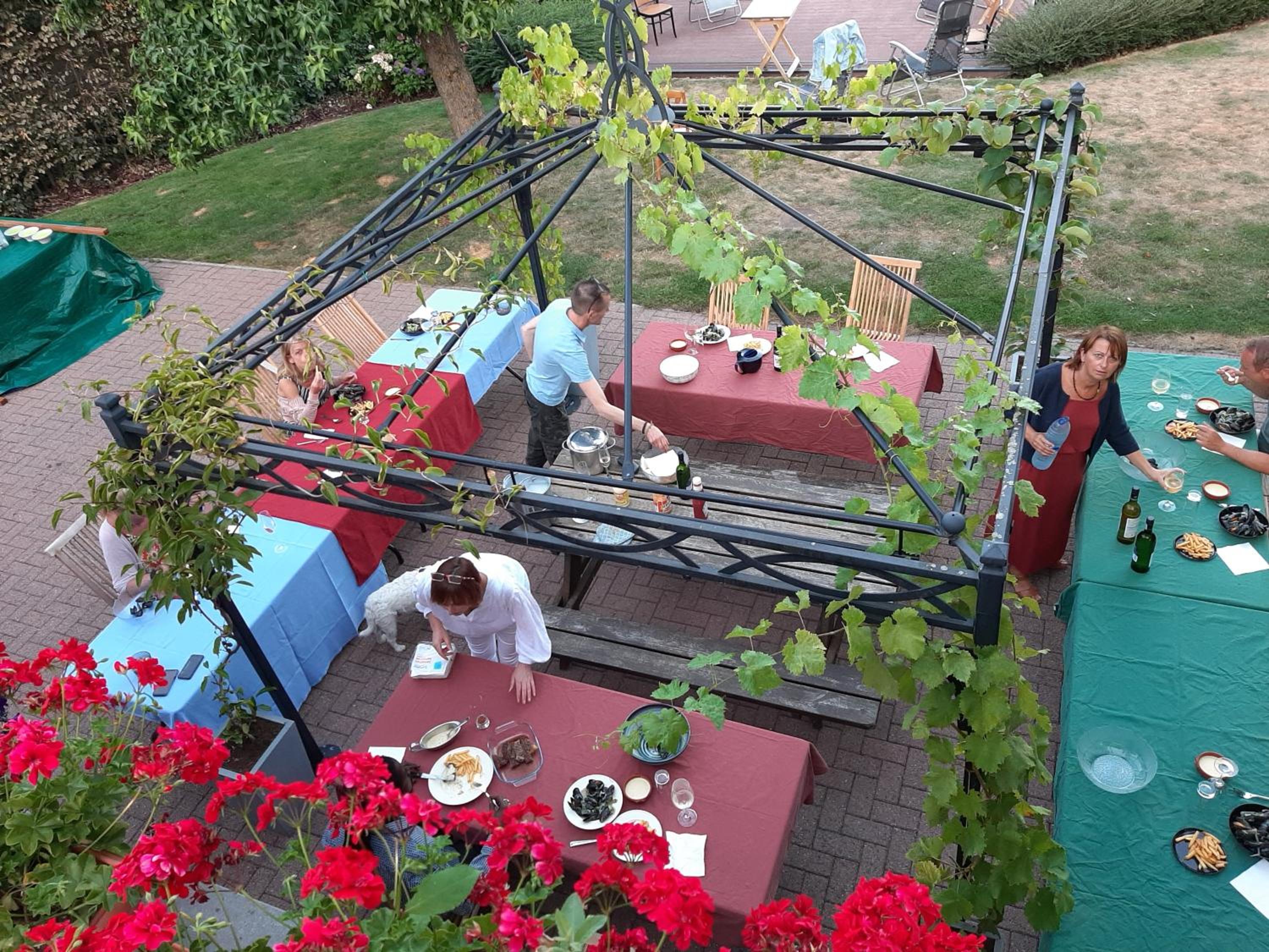 Hallerbos B&B in Bluebell Forest