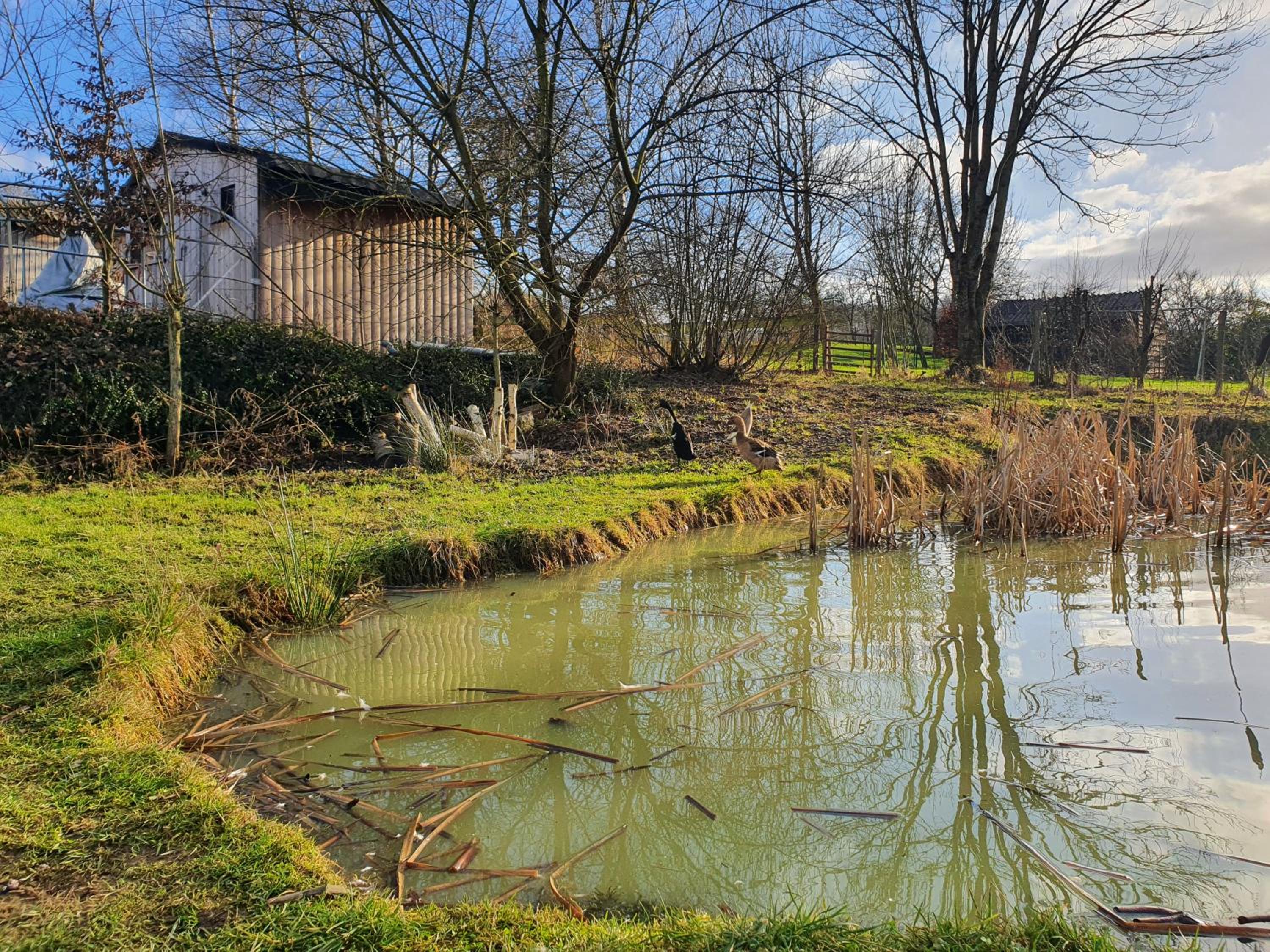 Maison Druyard huis met 5 slaapkamers