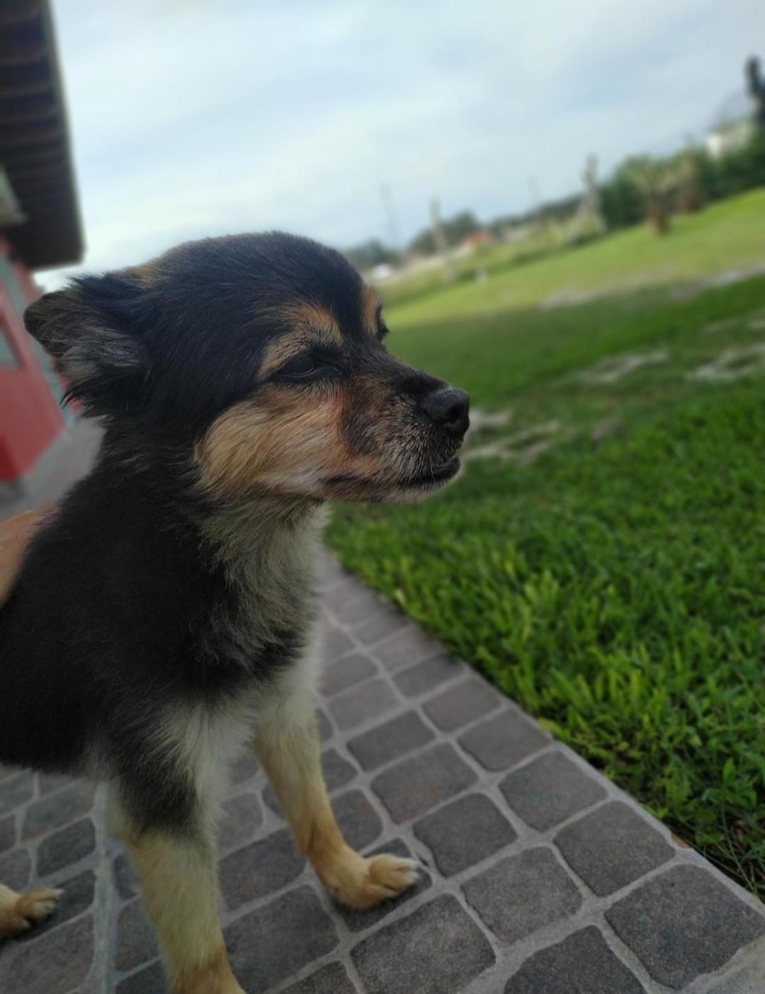 LA QUINTA DE LOLI