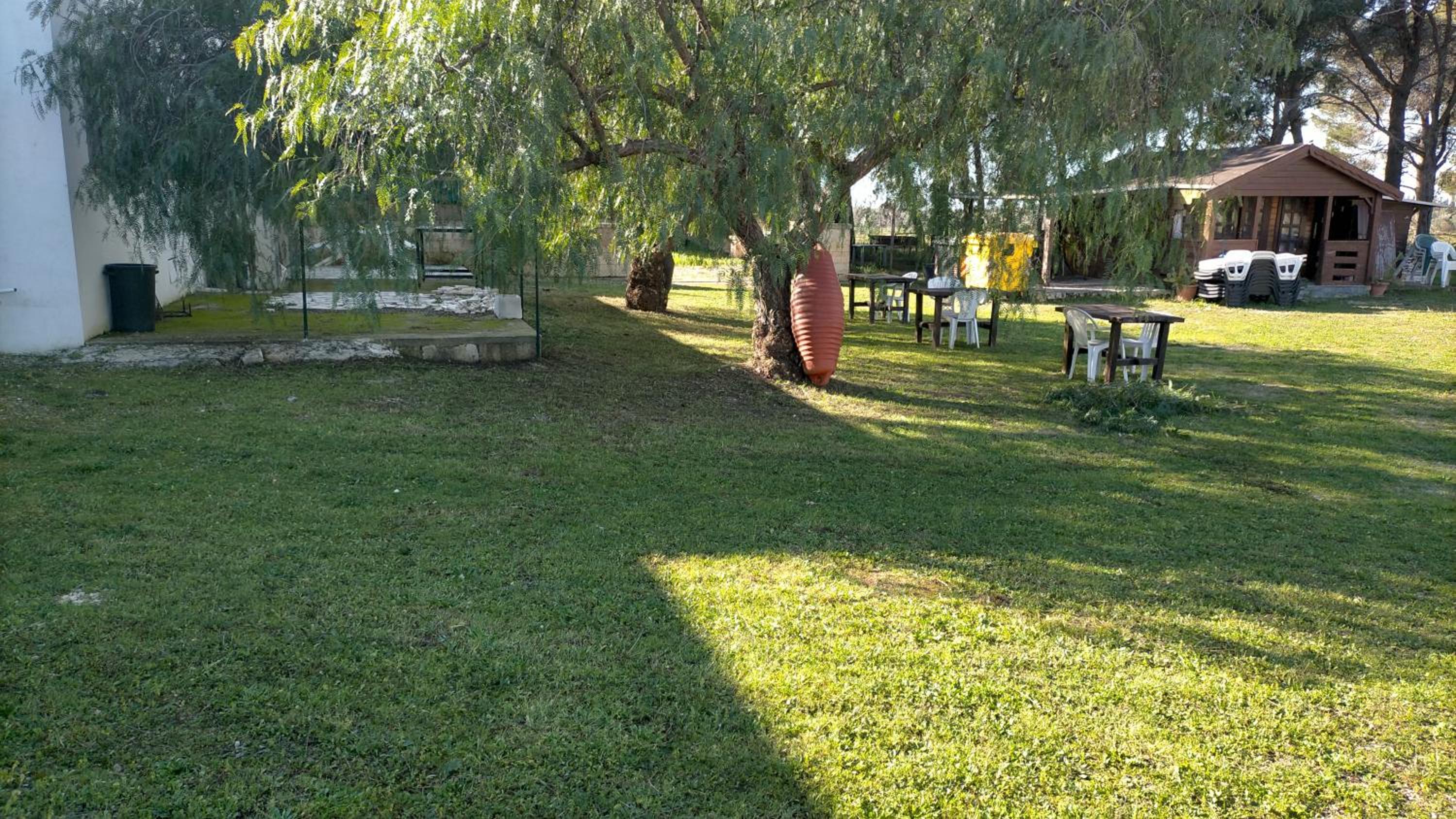 Agriturismo Twin Tails - Sant'Isidoro photo 4