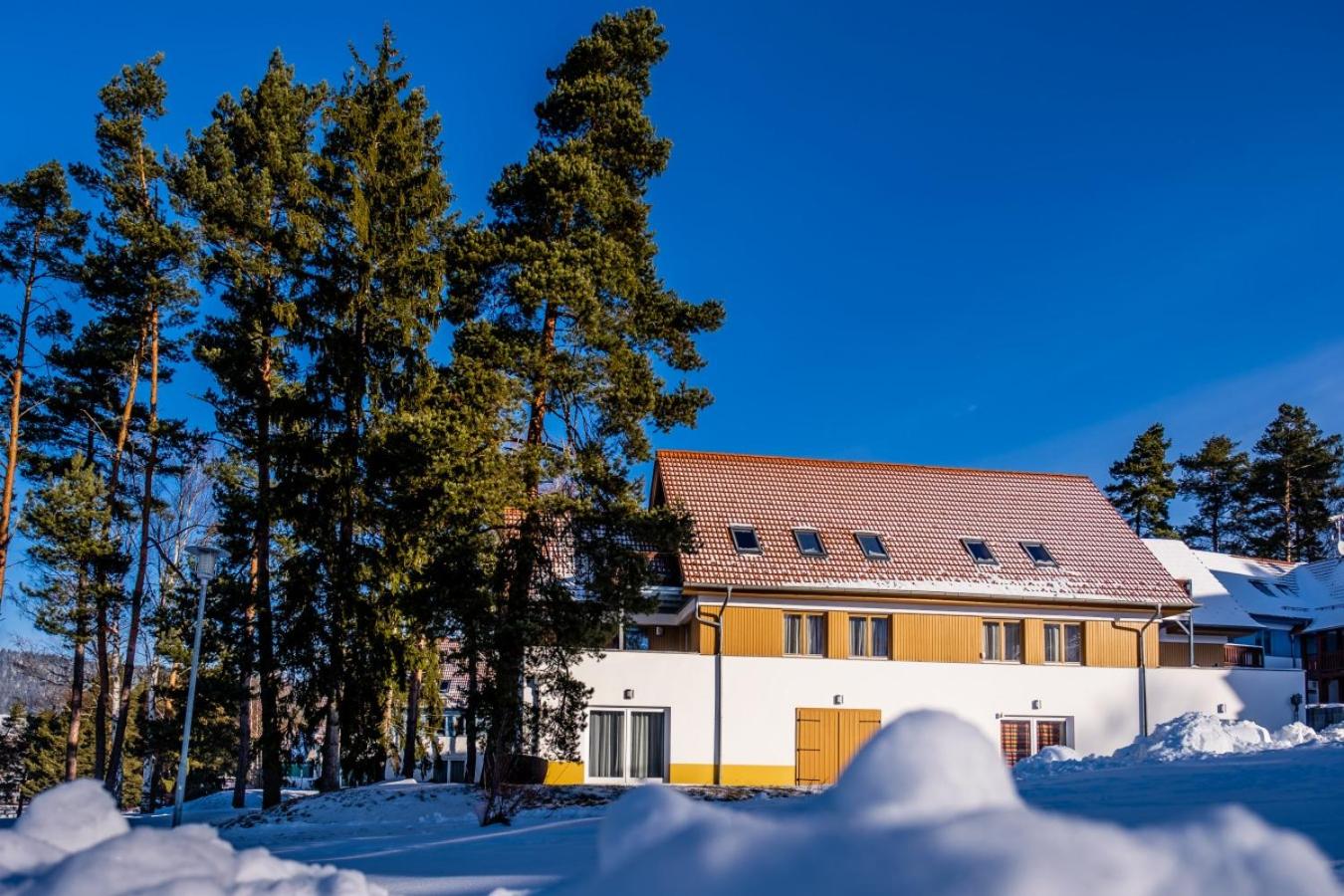 Apartment Riviera 503-1 Lipno Home