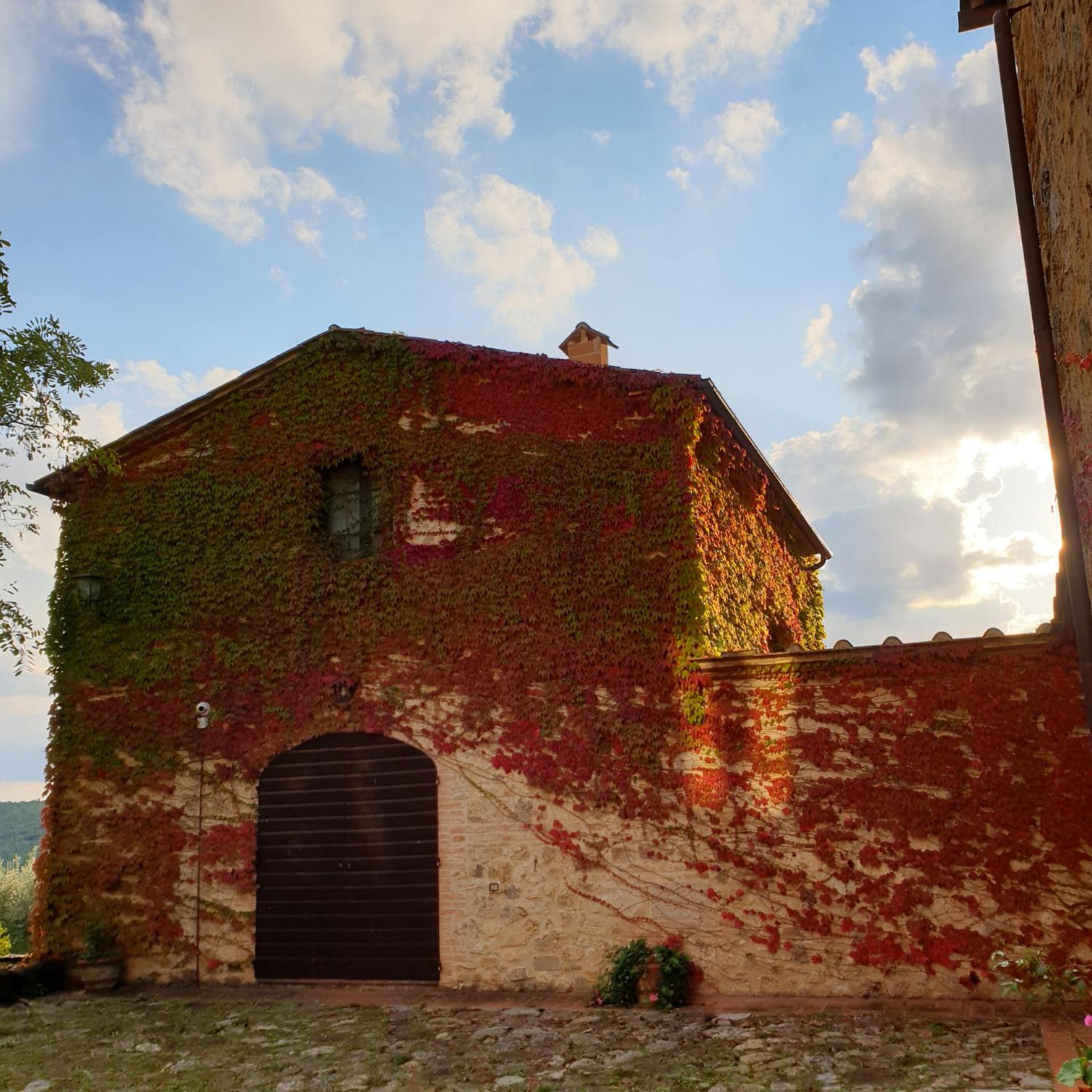 Fattoria Lornano Winery