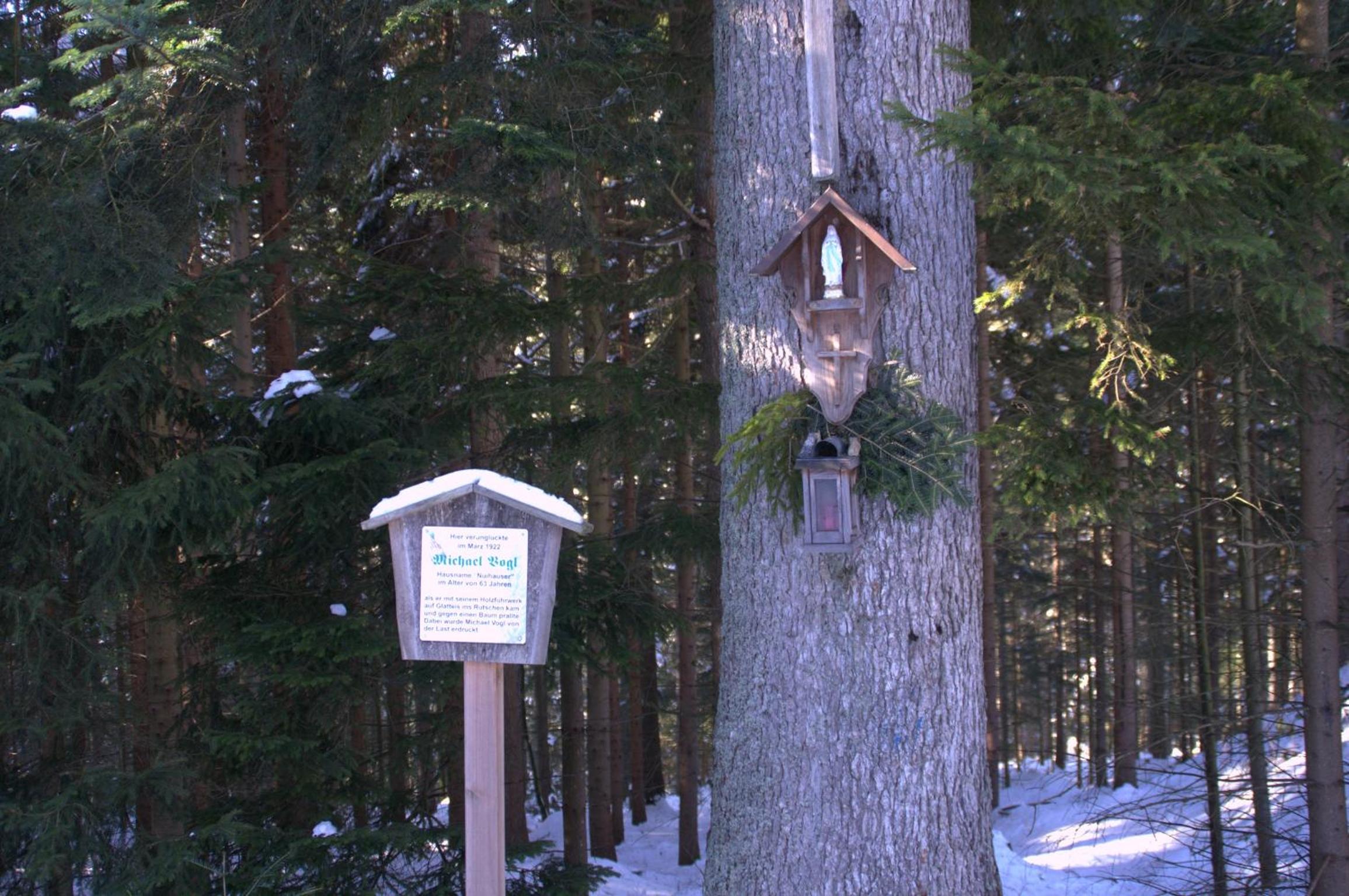 Erlebnispension Zum Wanderer Sepp