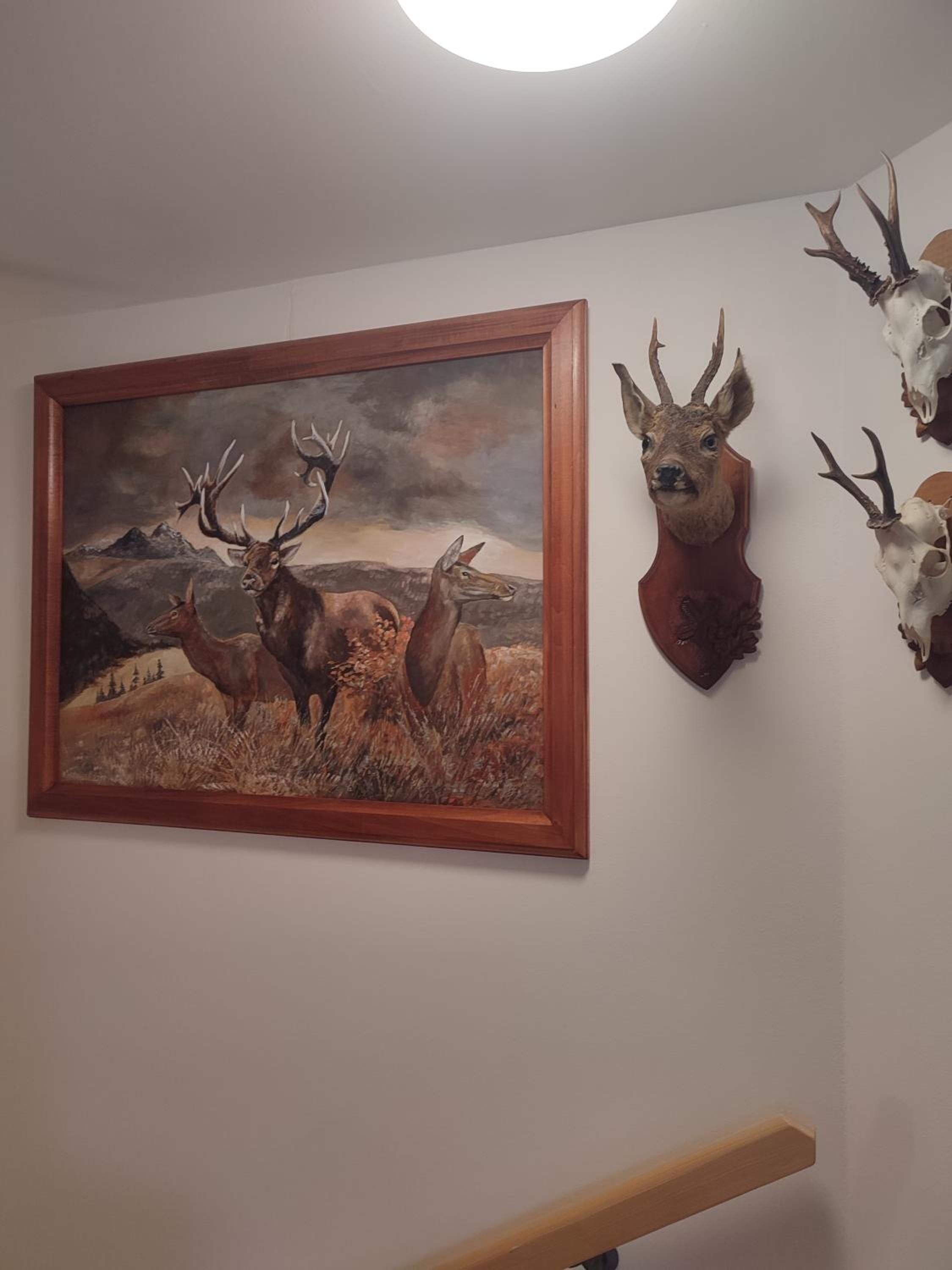 apartmány U tety Hedy view 4