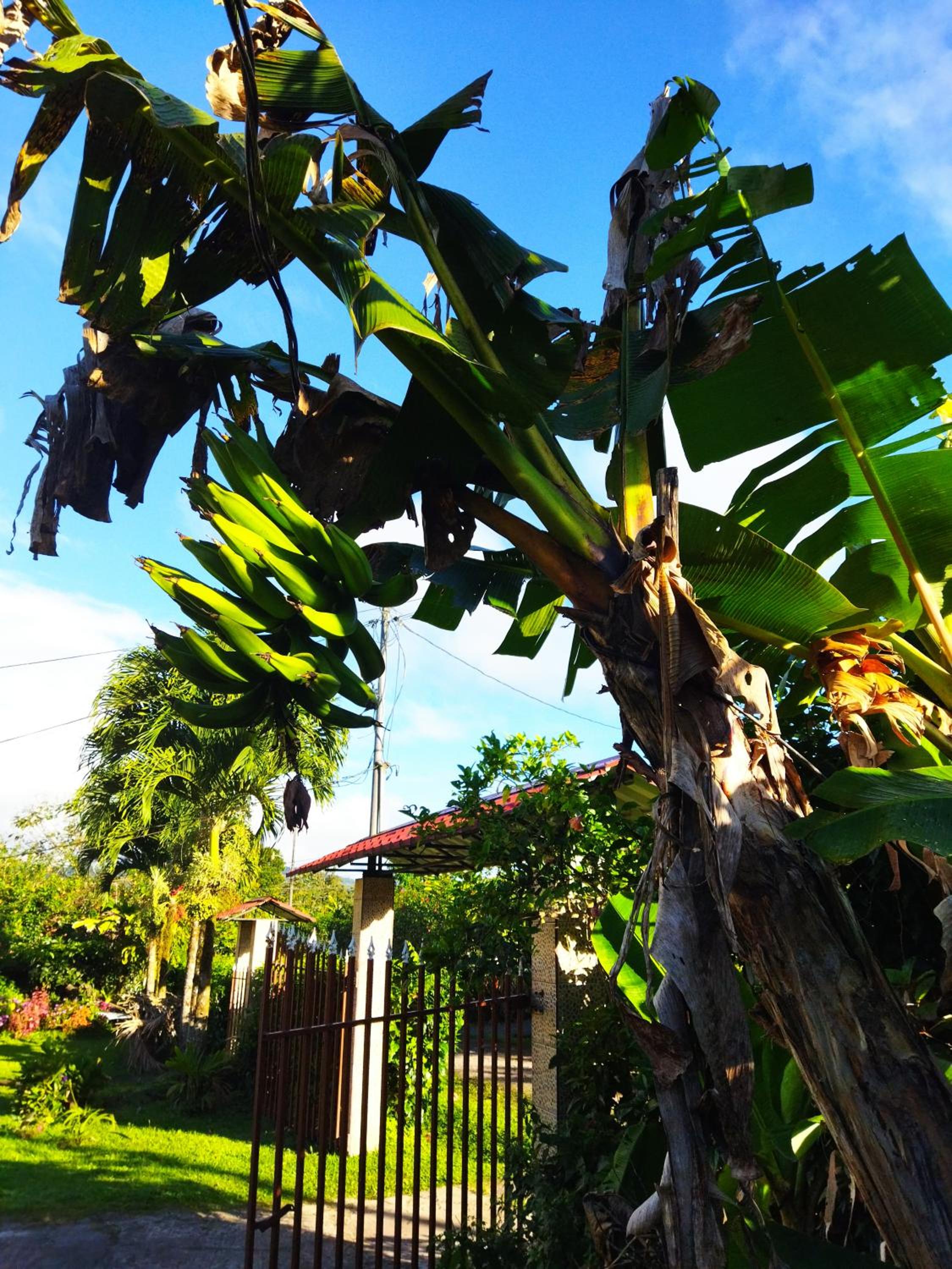 Bijagua paradise Río Celeste