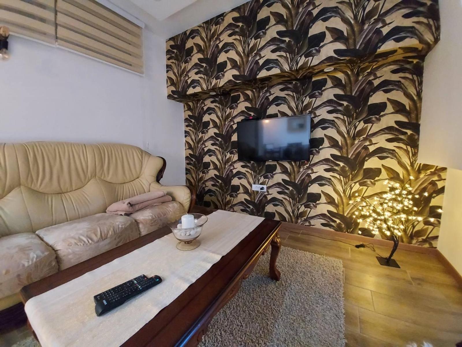 Apartman Stojanovic view 3
