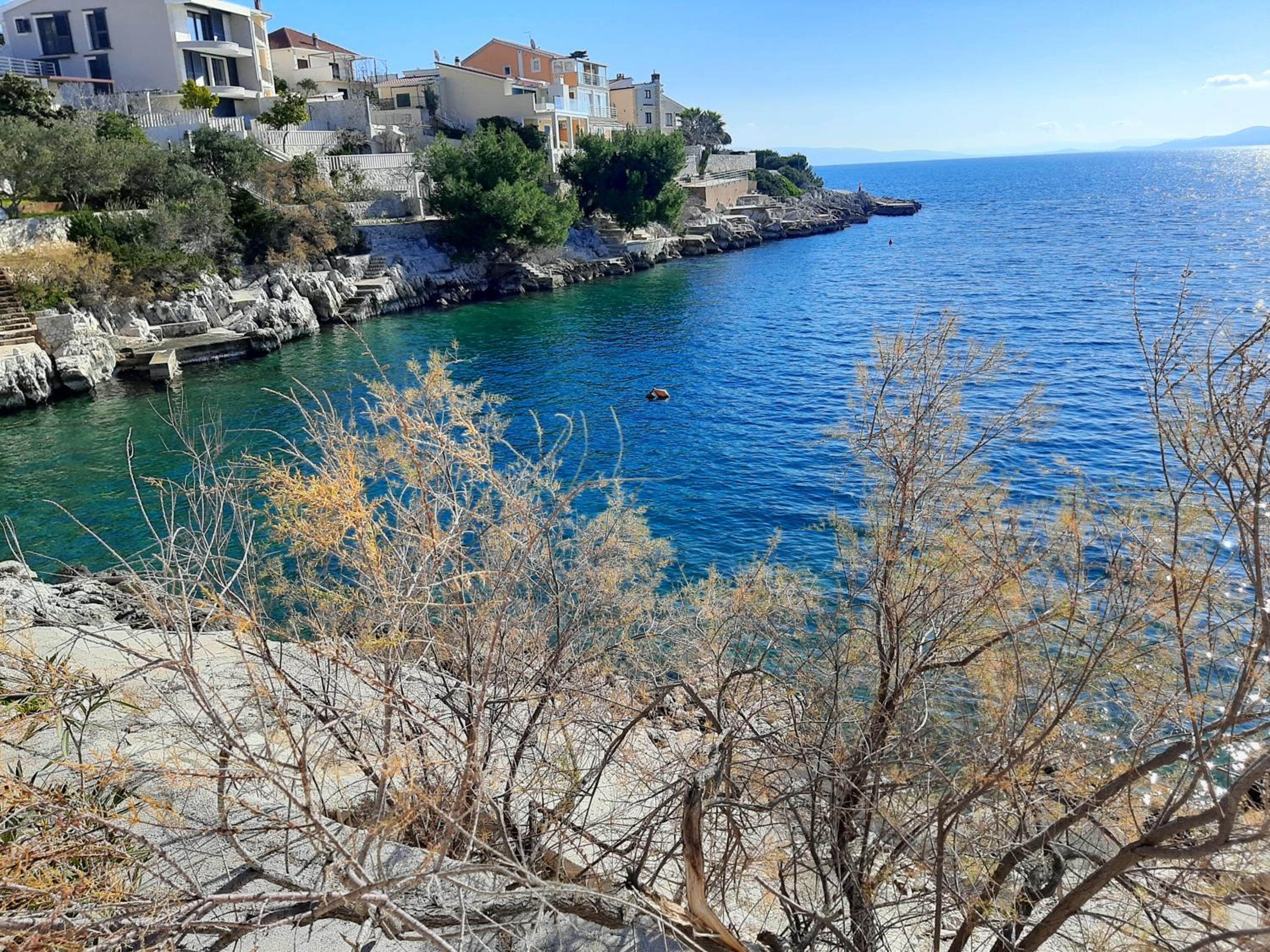 Photo 56