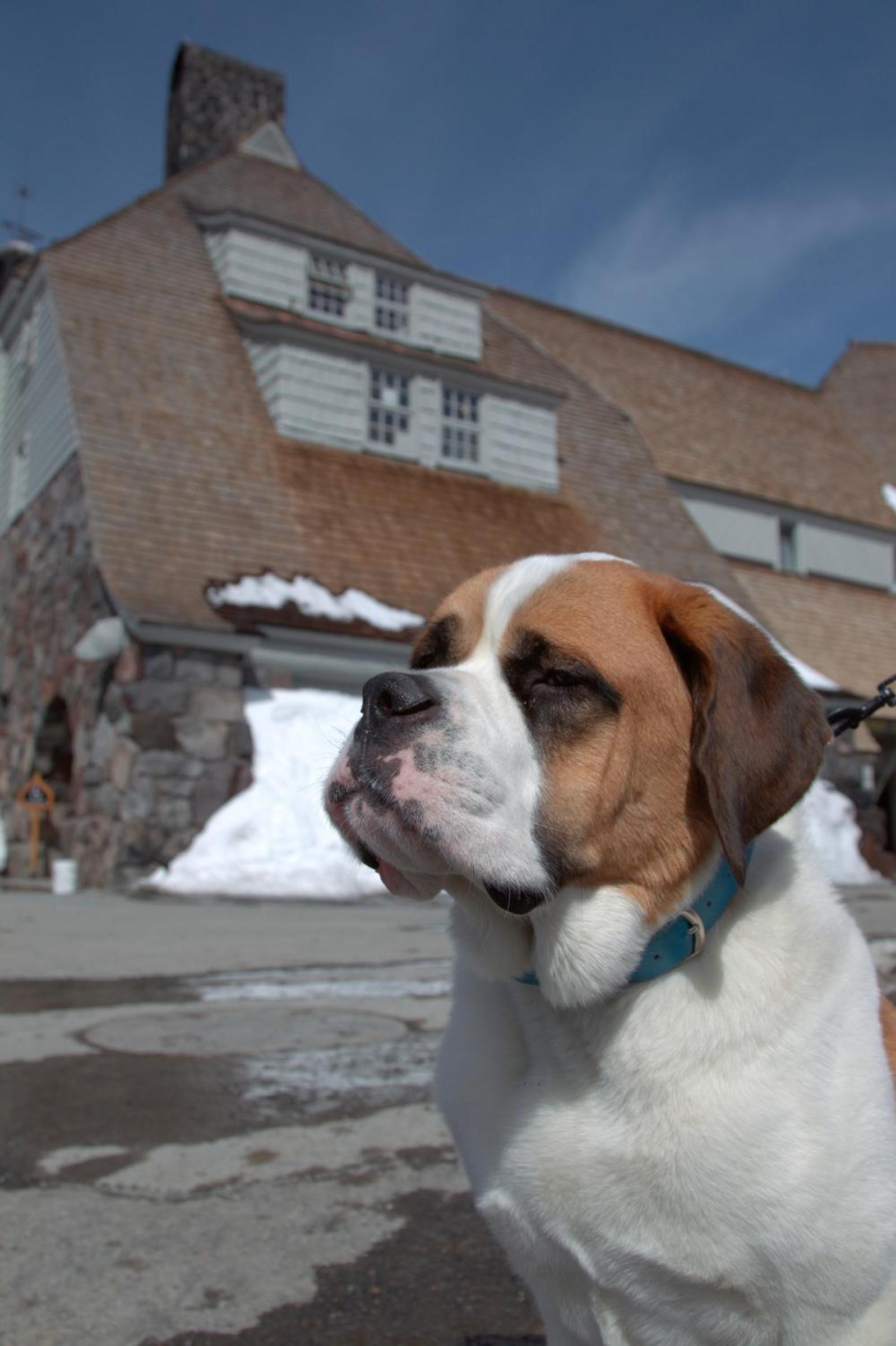 Timberline Lodge