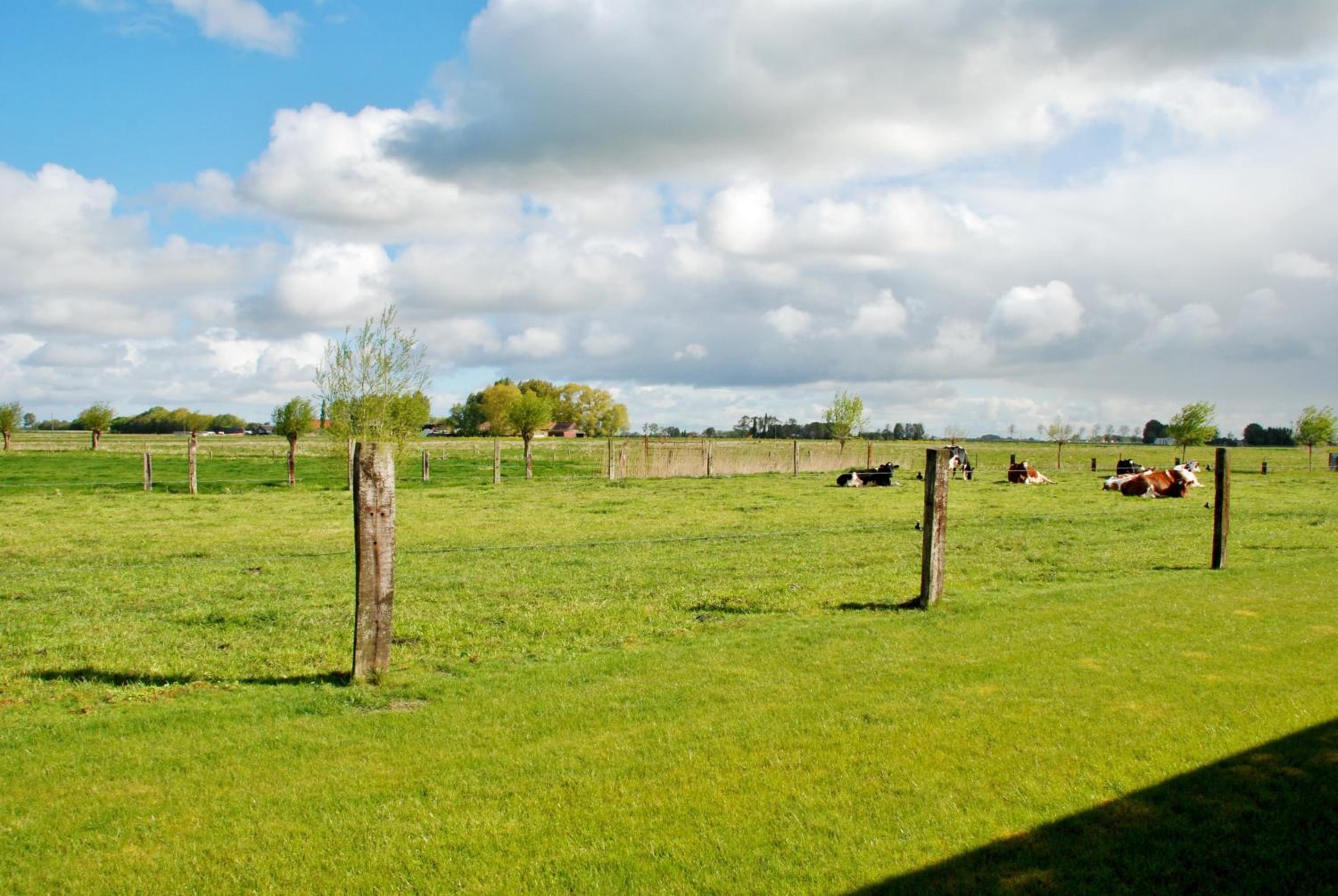 Vakantiehuis NIEUWHOF