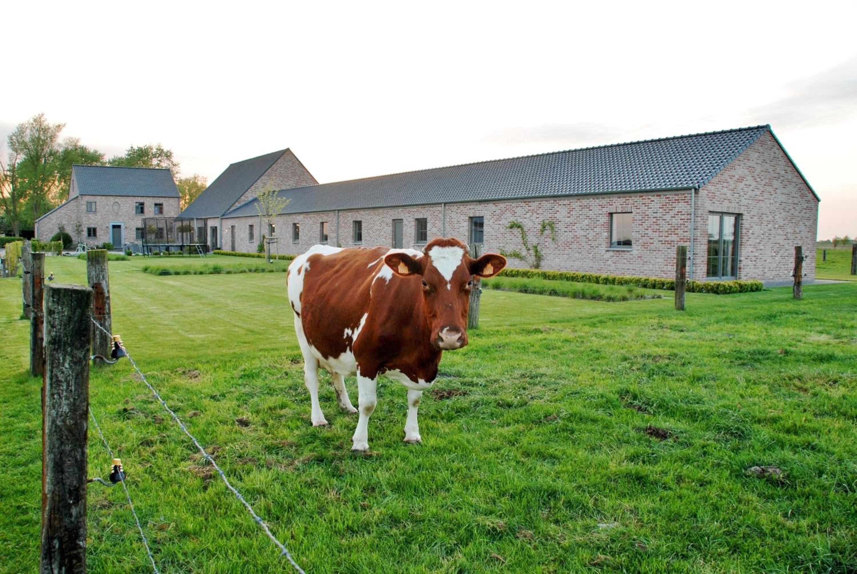 Vakantiehuis NIEUWHOF