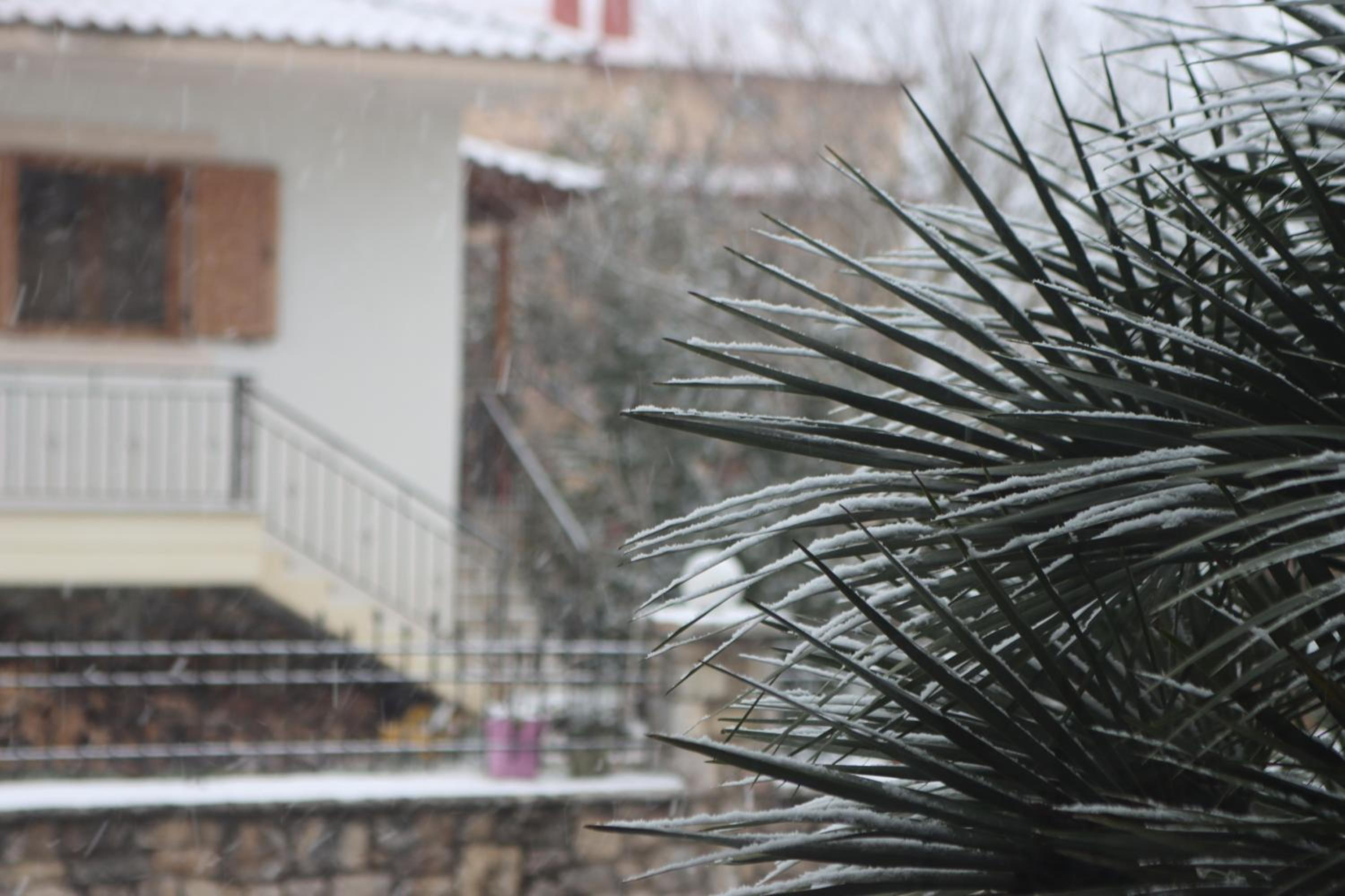 Tzovolos Apartments