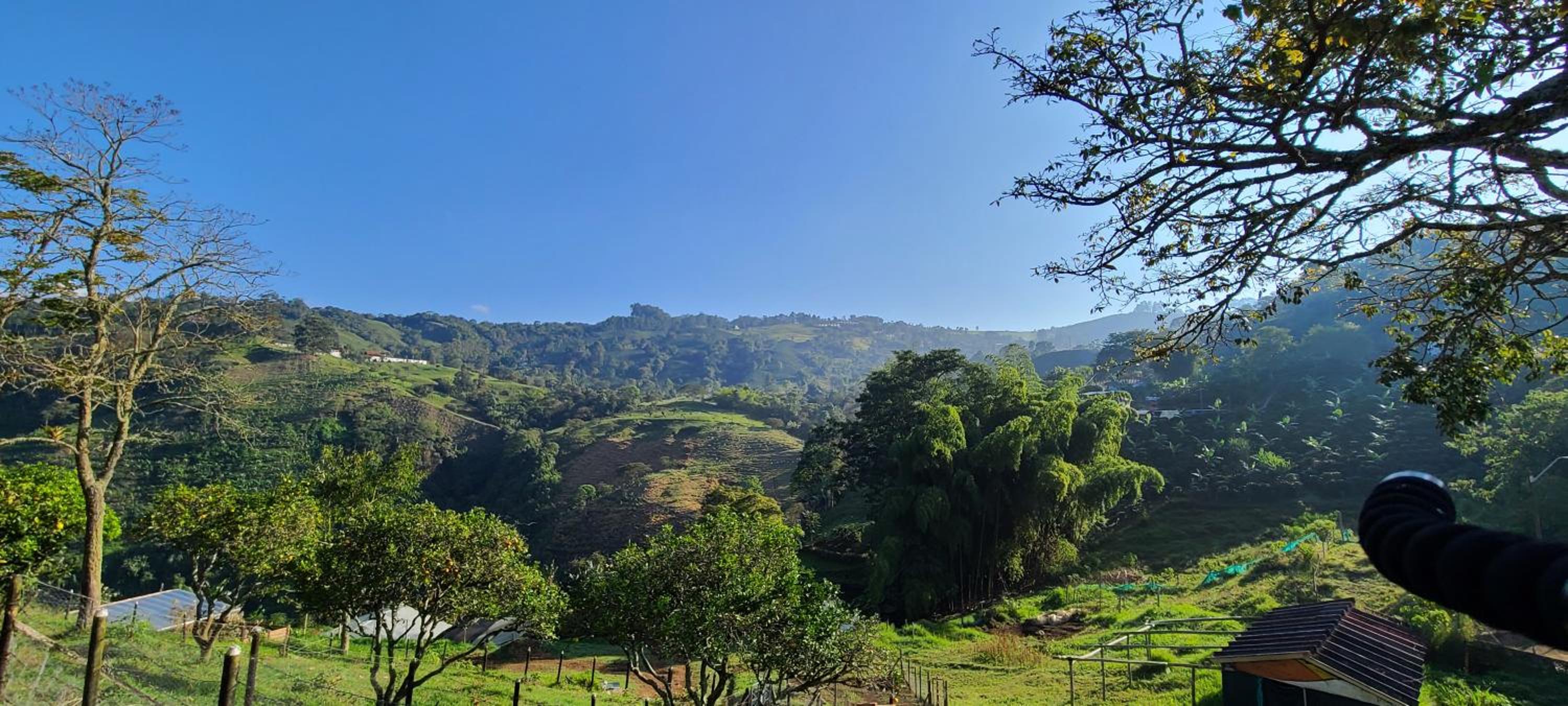Finca Naya