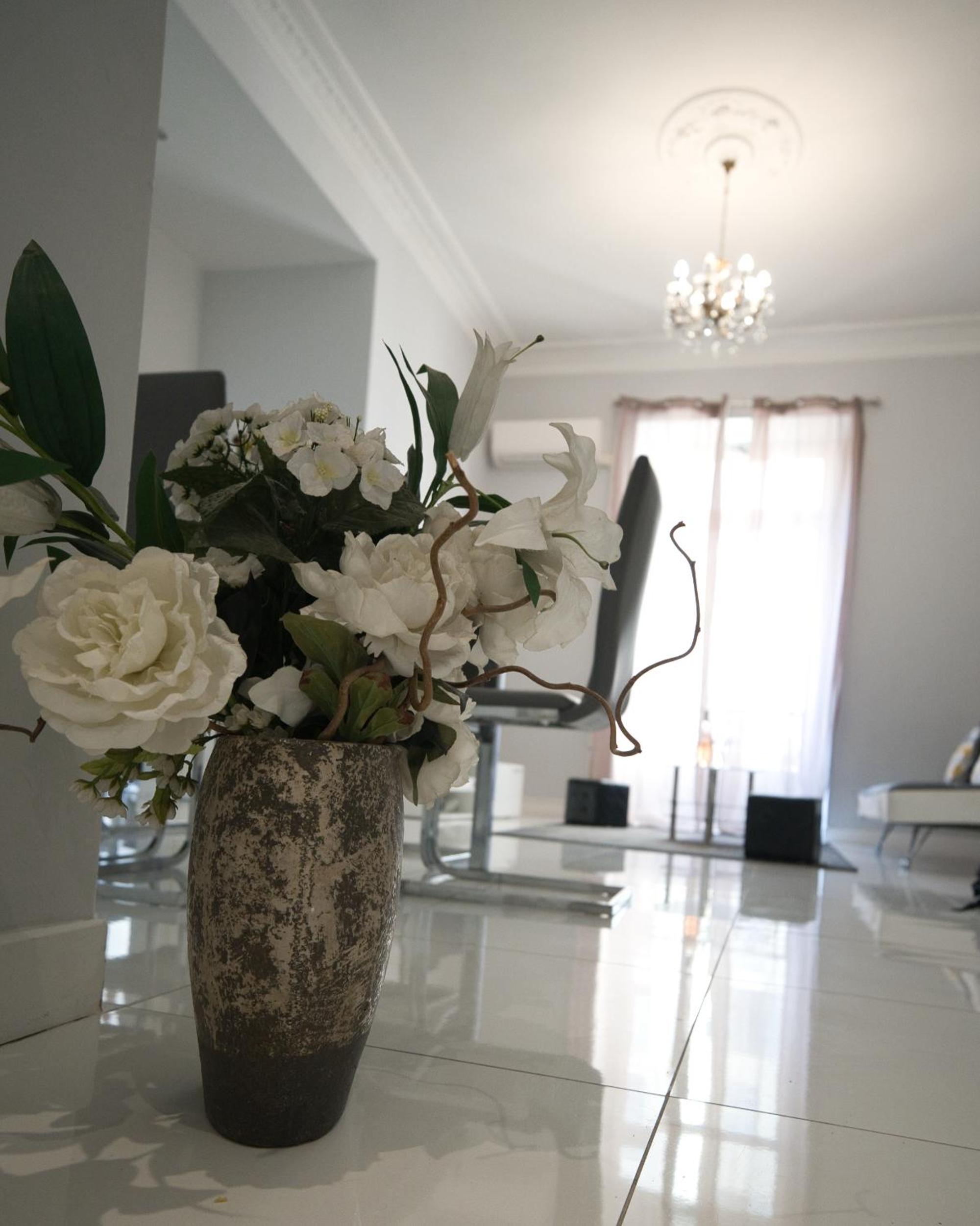 Designer Flat Nice photo 3