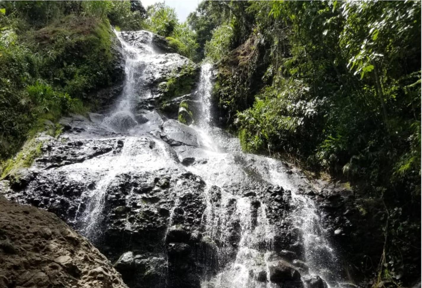 Finca Naya