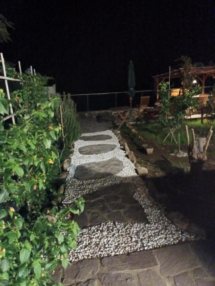 Photo 53