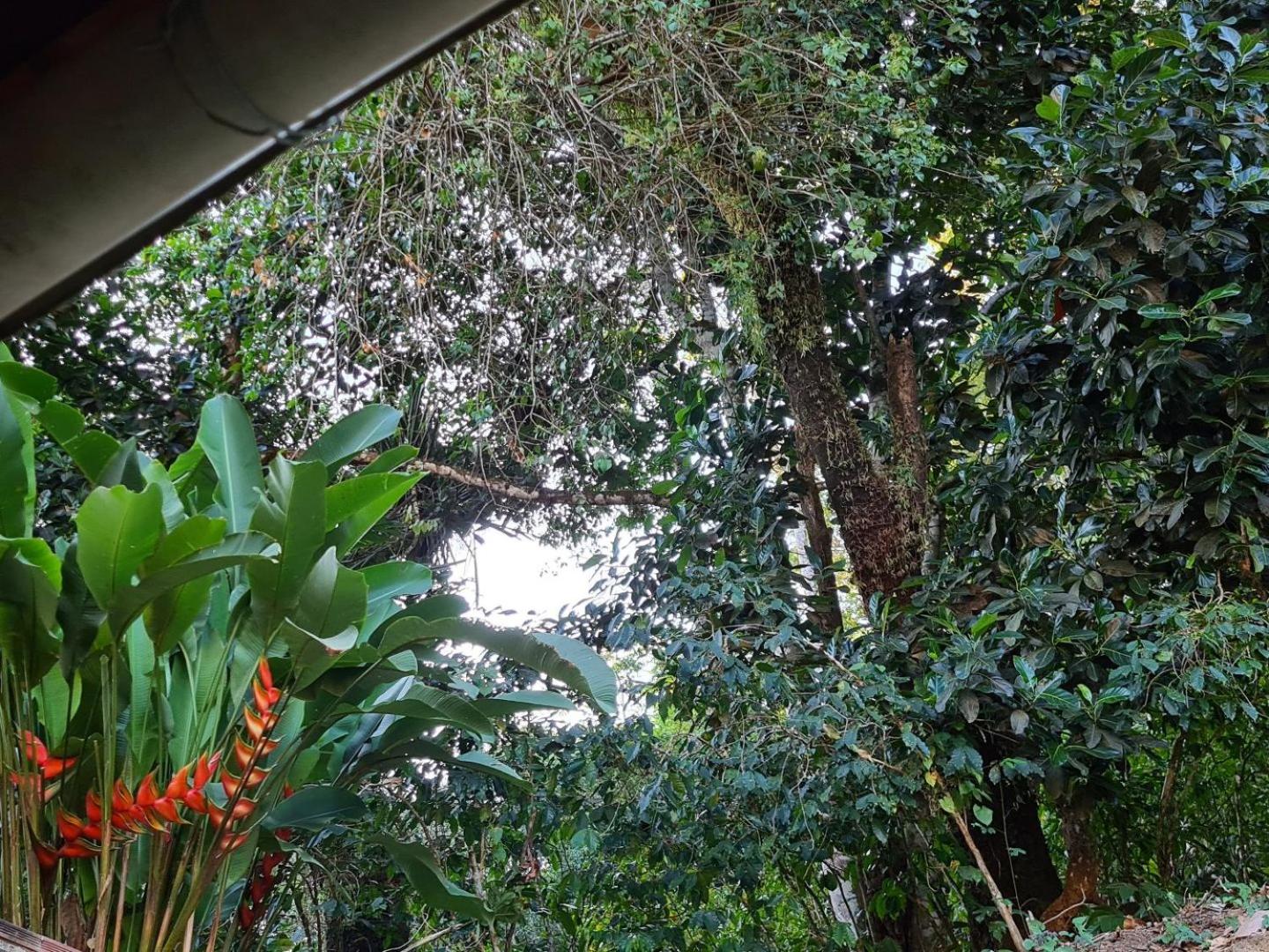 Casa na serra a 10 min de Guaramiranga! Ótima para descanso com conforto e para turismo!