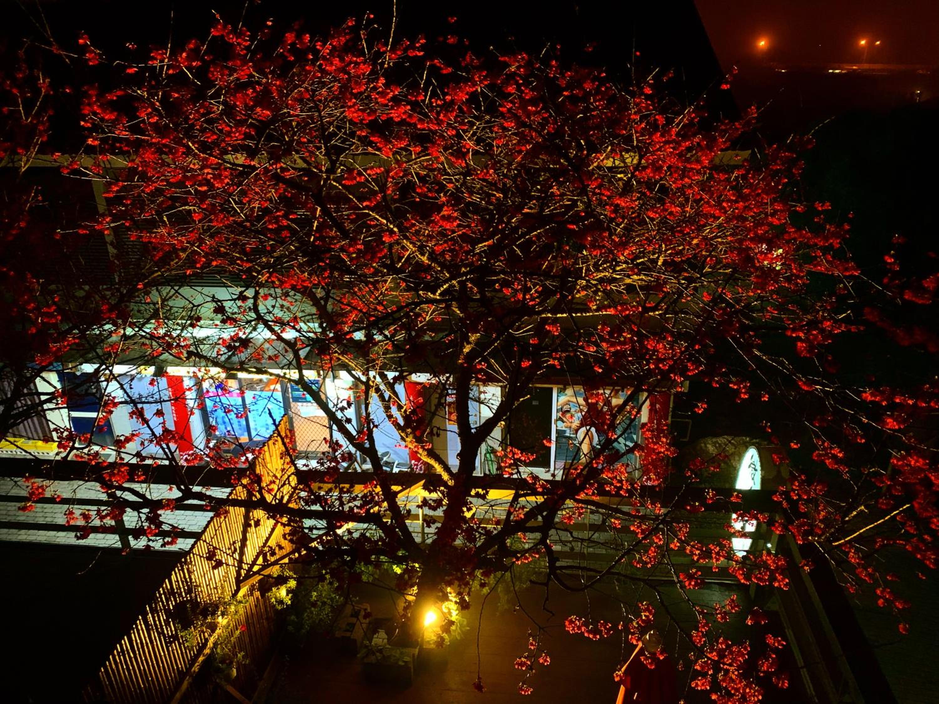 Sanyi Wei Wei Feng B&B view 5
