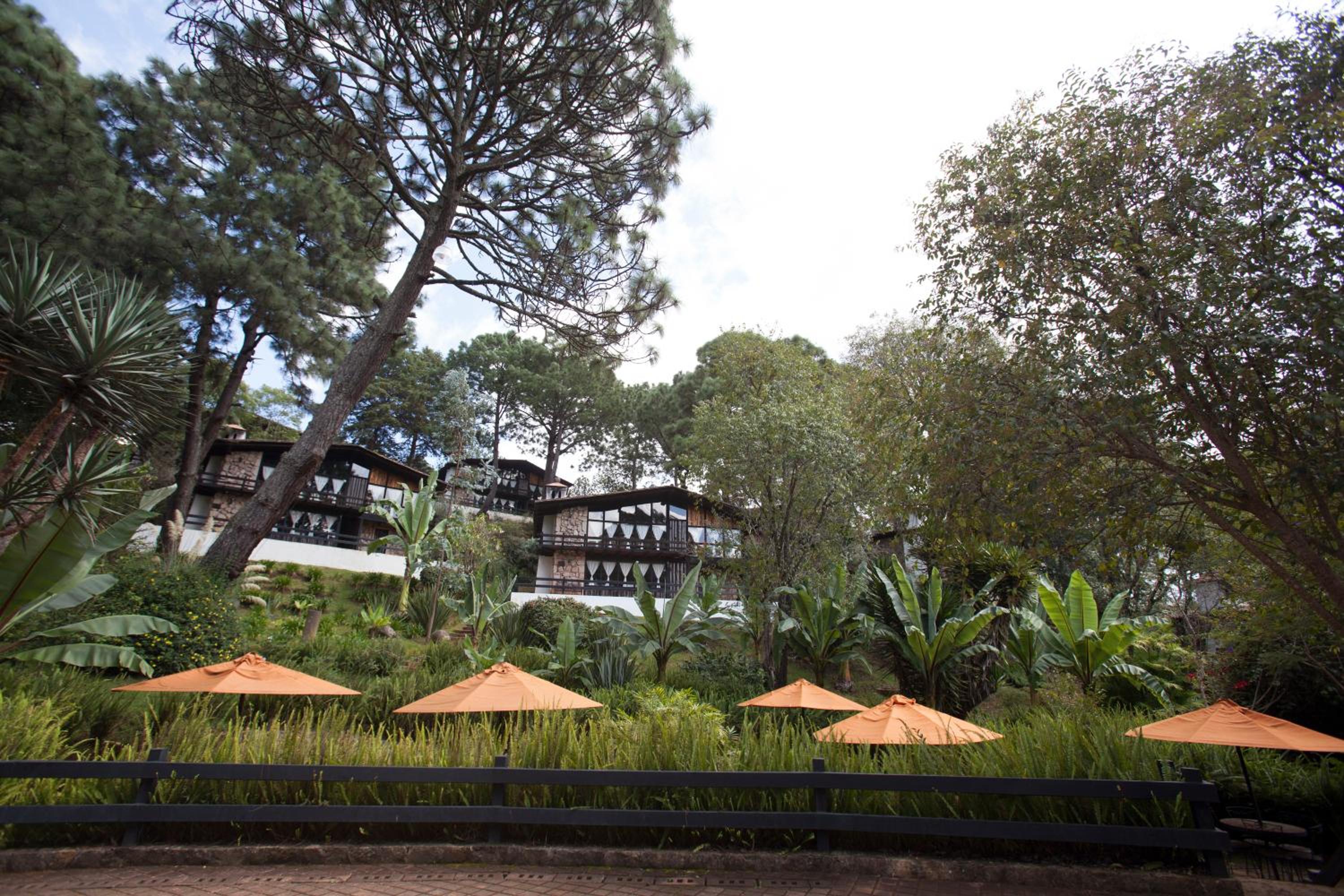 Monteverde view 4