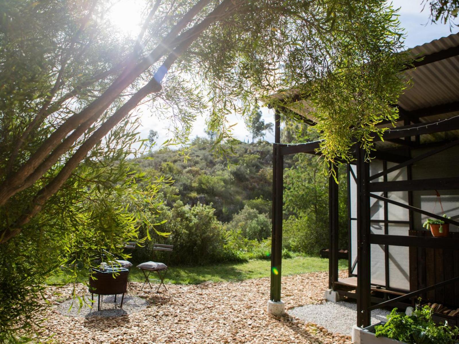 Photo 69
