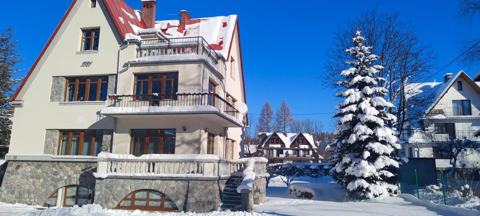 Photo 7