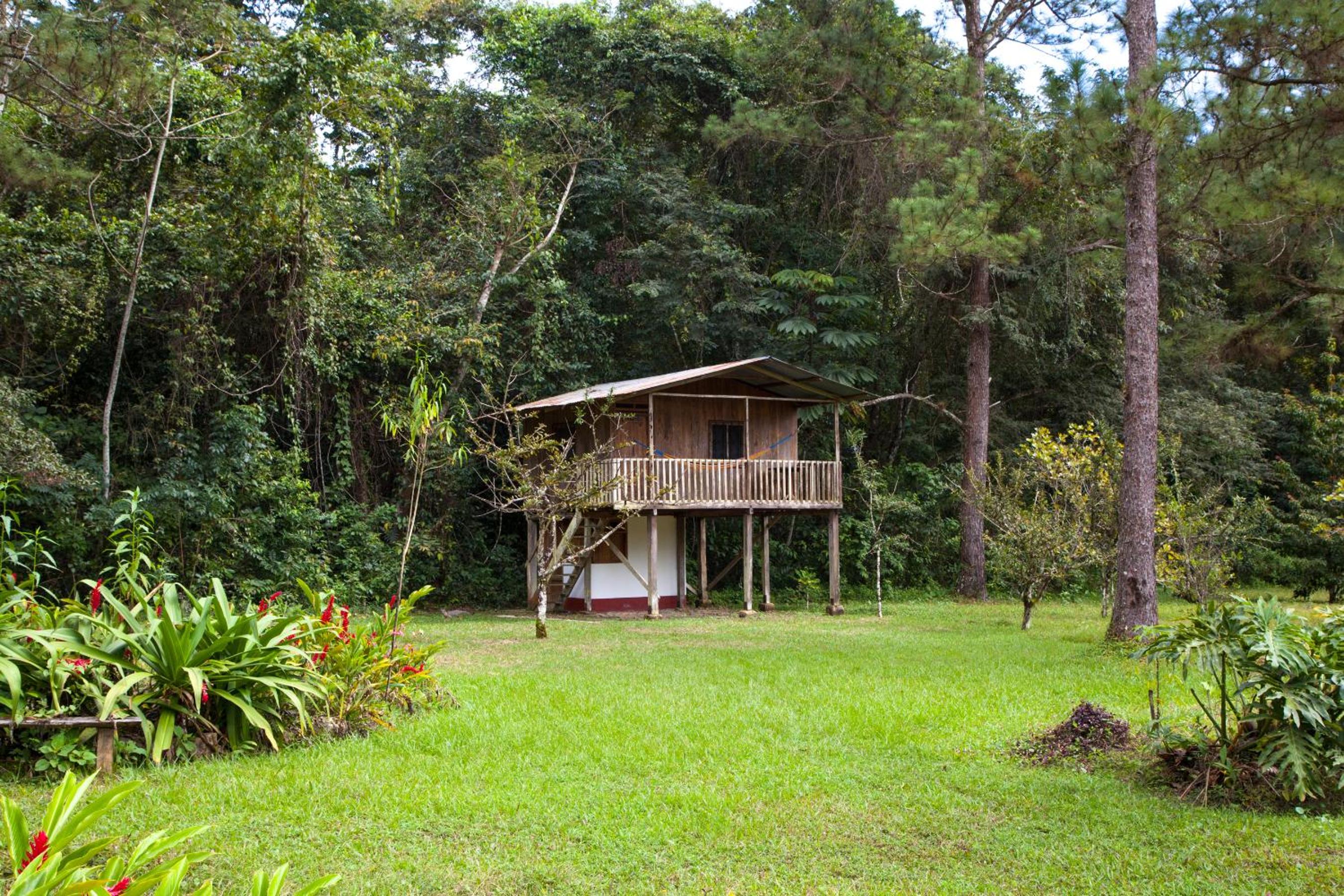 Finca Ixobel, photo 80