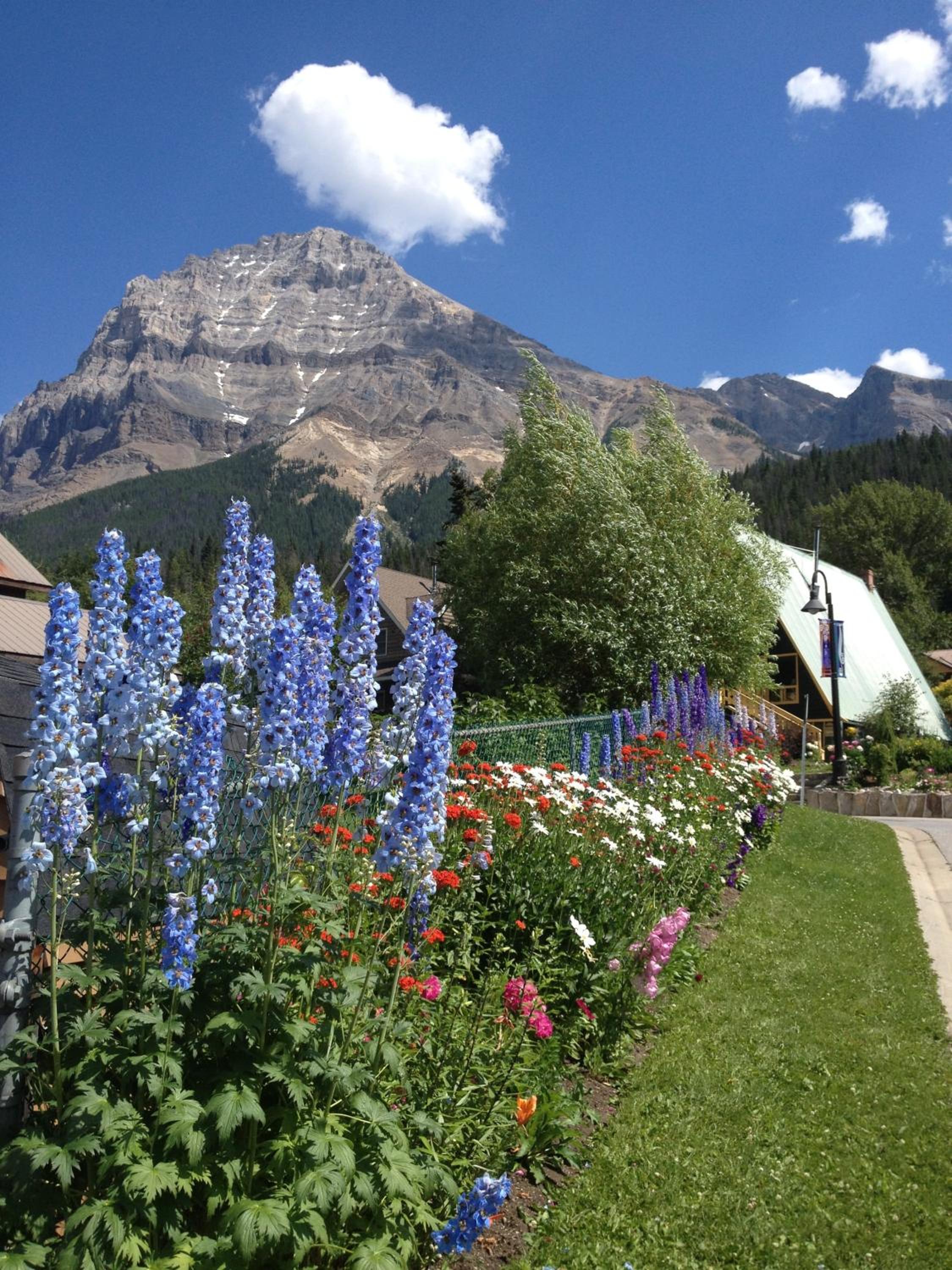 Canadian Rockies Inn - Adults only view 2