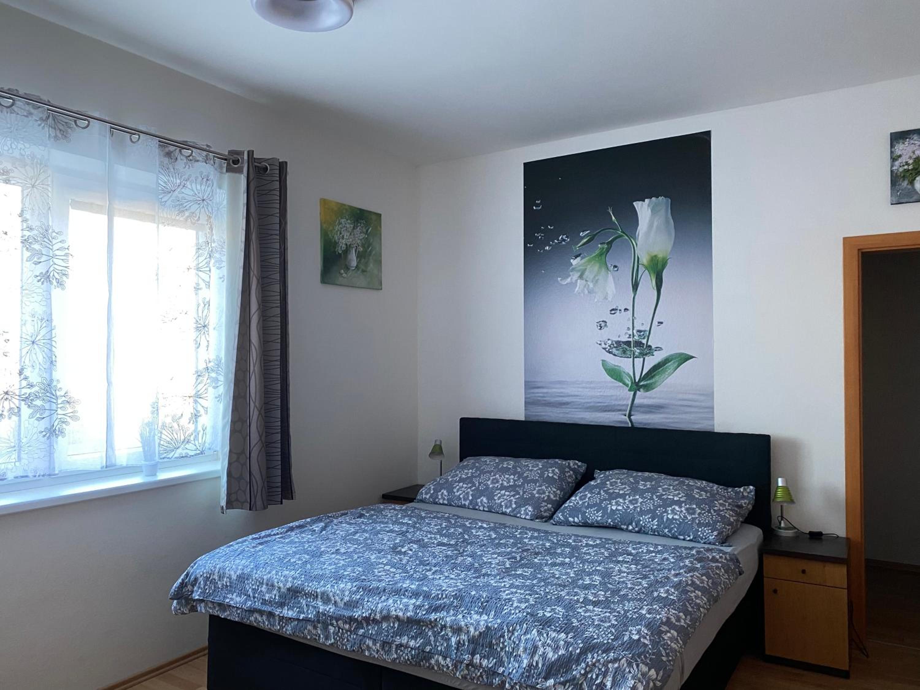 Apartman c.8 Magnolie view 5
