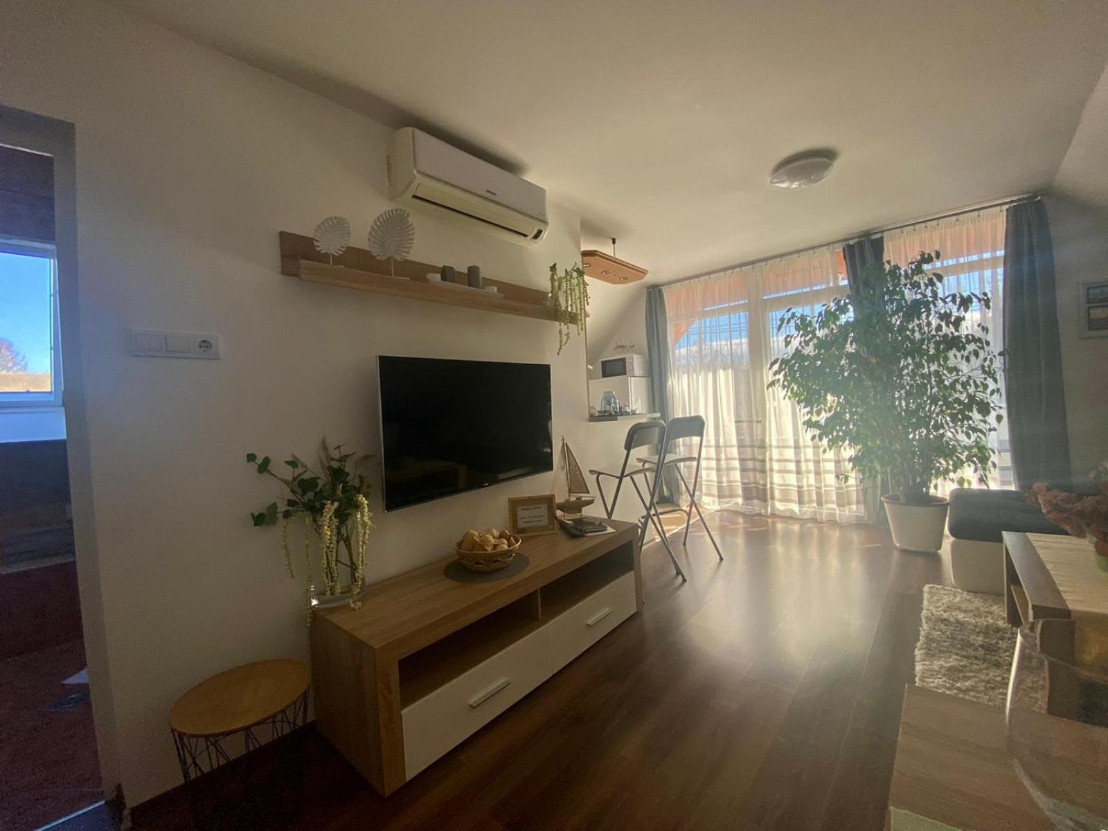 Munkácsy Apartmanok view 2