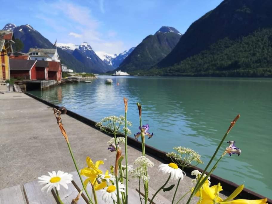 Sogndal ski- and mountain cabin view 4