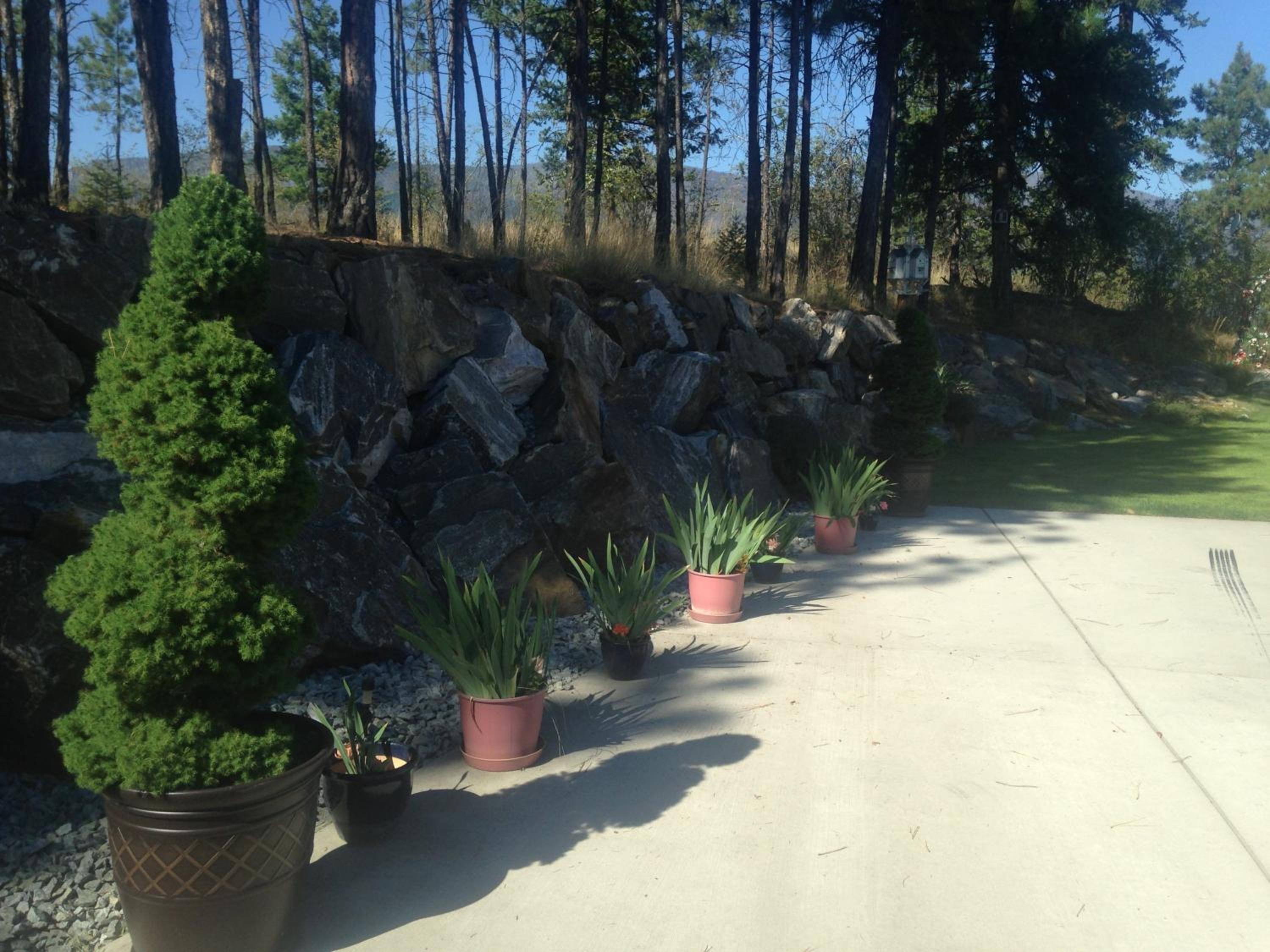 Eagle's Nest B&B