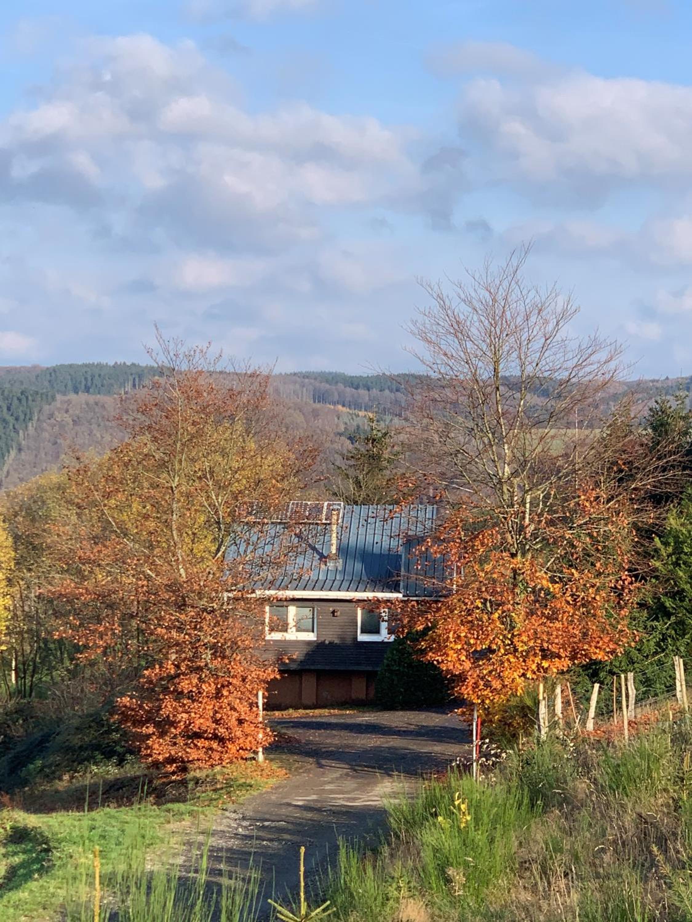 Waldhaus Wangen