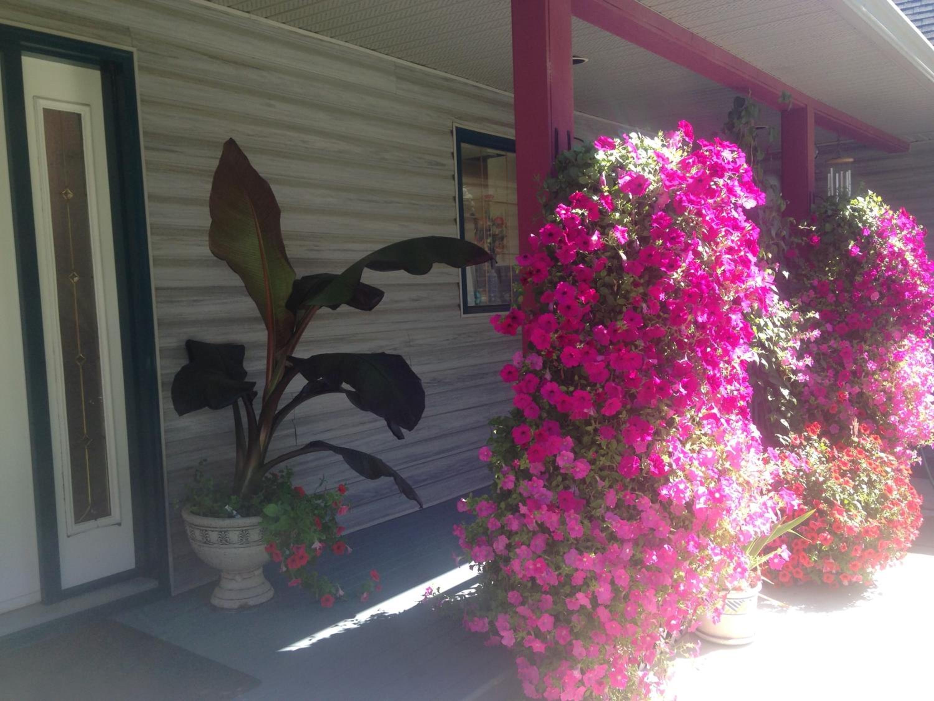 Eagle's Nest B&B
