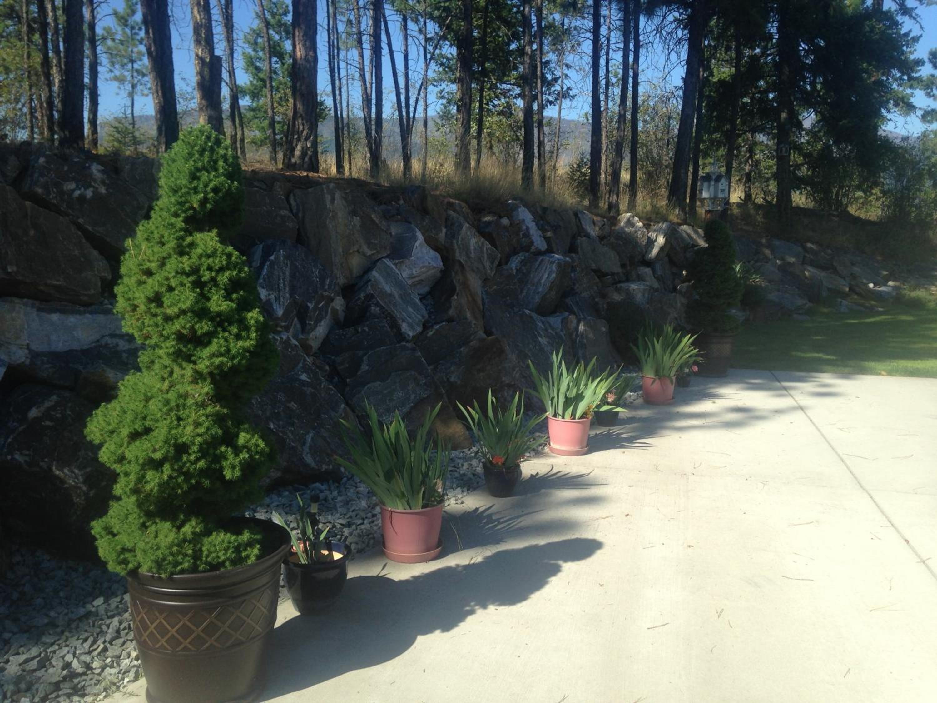 Eagle's Nest B&B