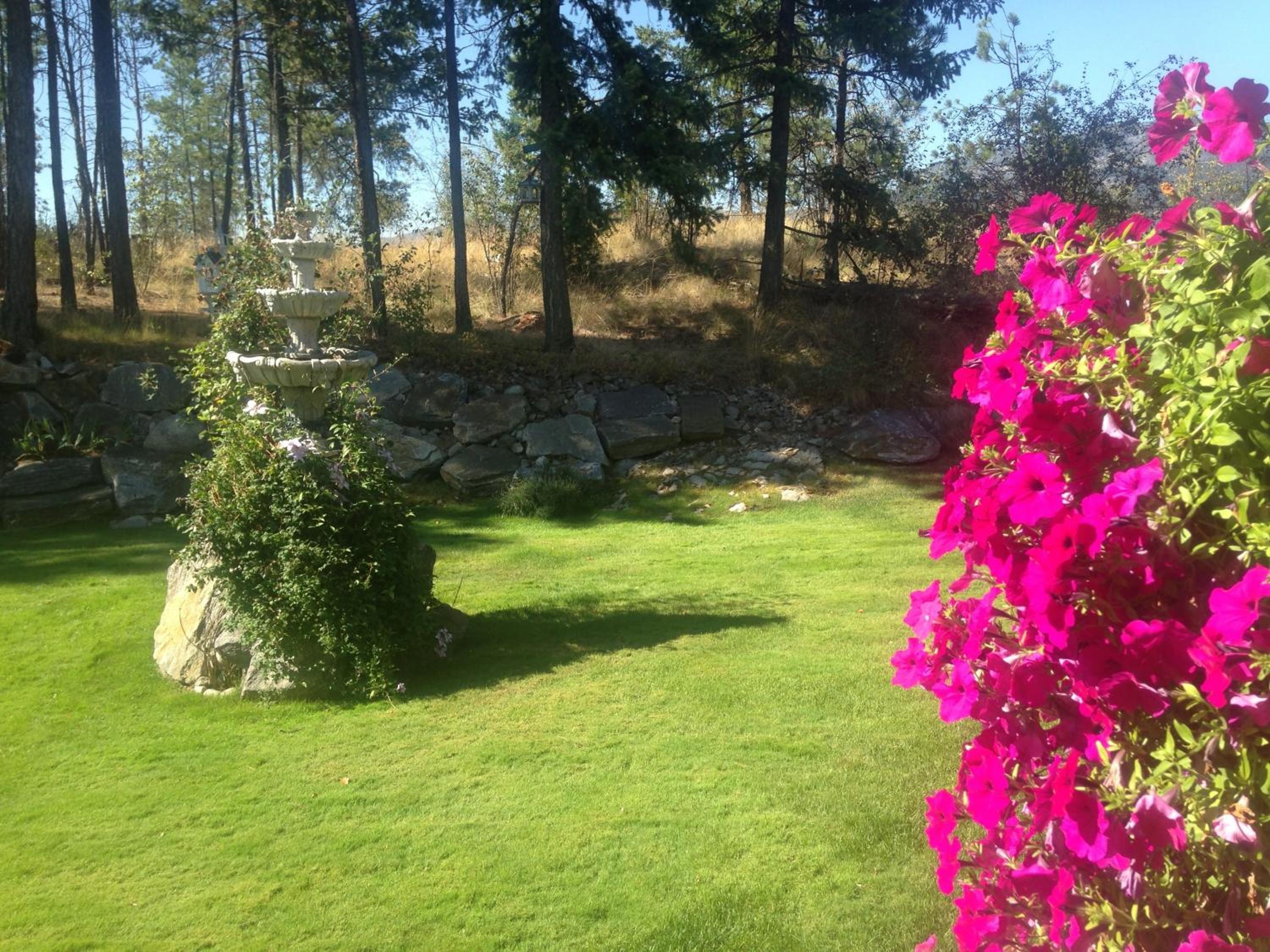 Eagle's Nest B&B