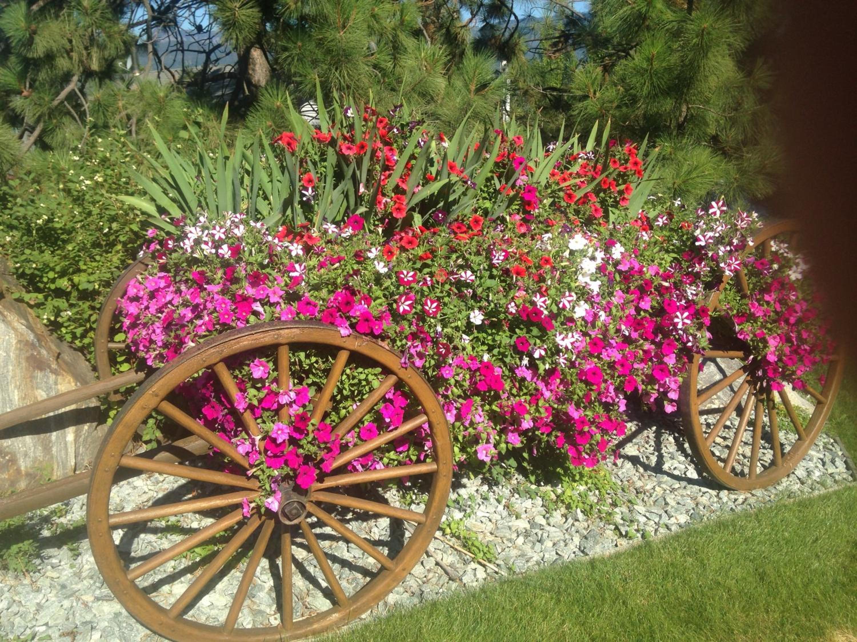 Eagle's Nest B&B