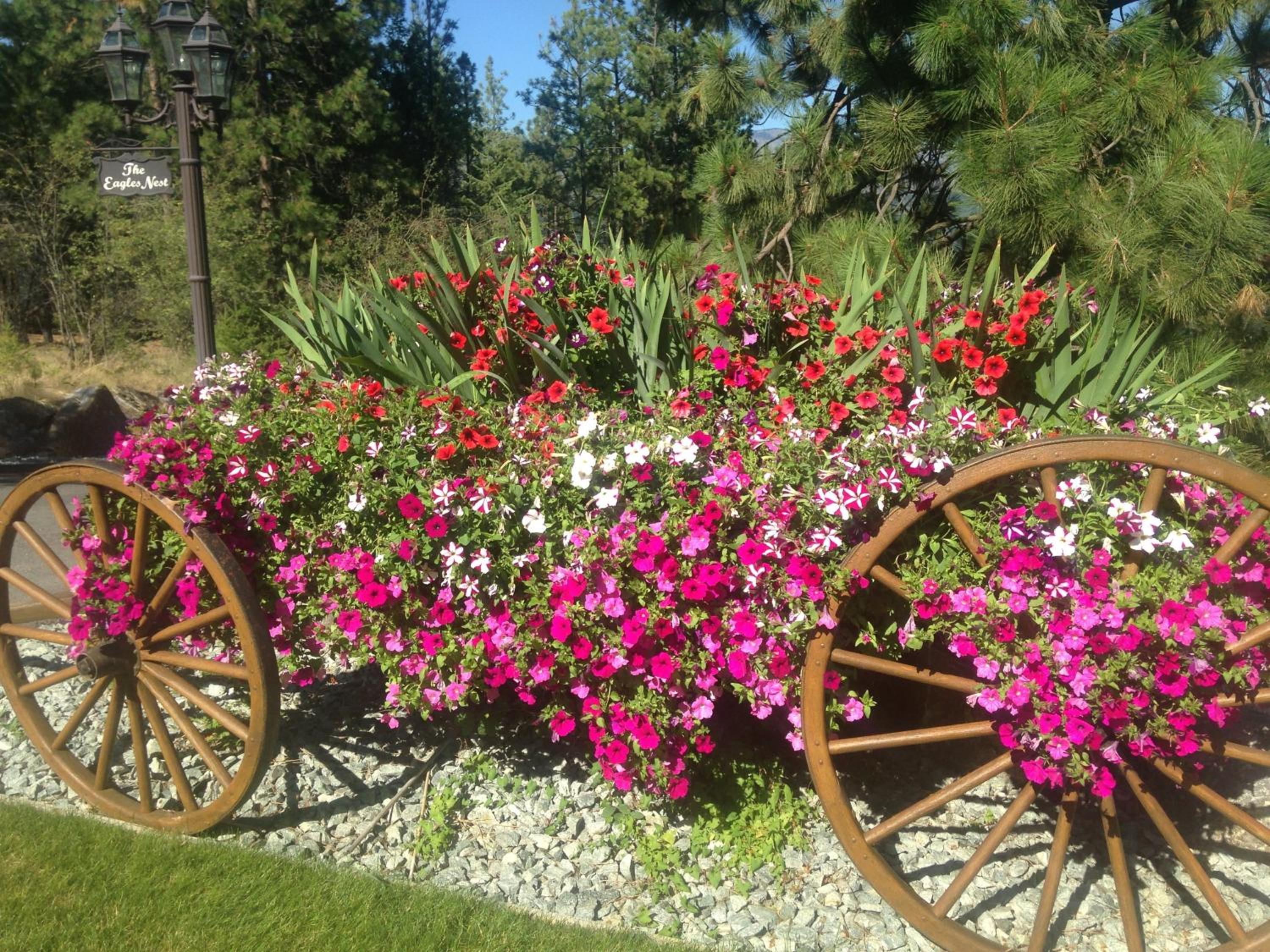 Eagle's Nest B&B