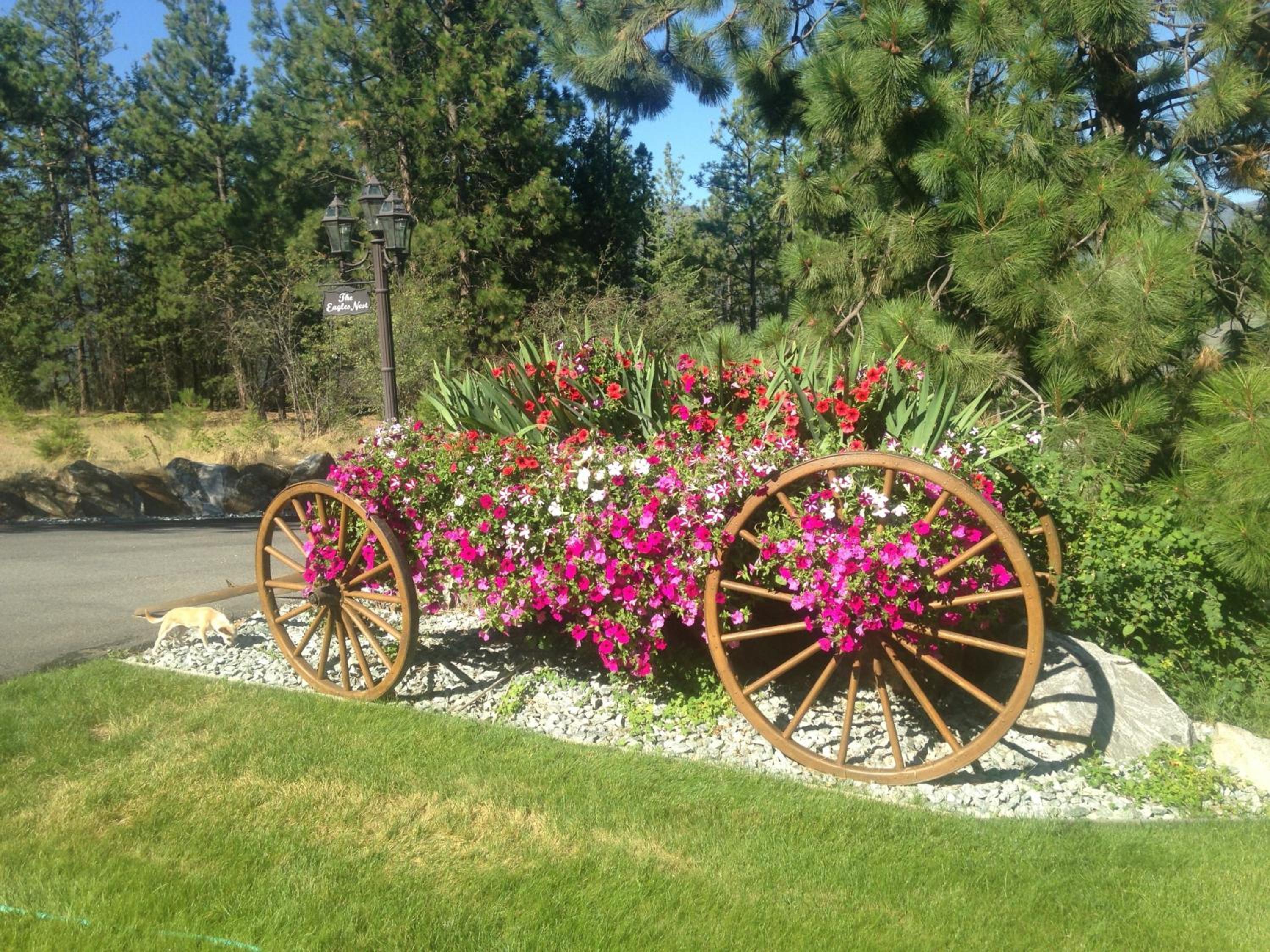 Eagle's Nest B&B