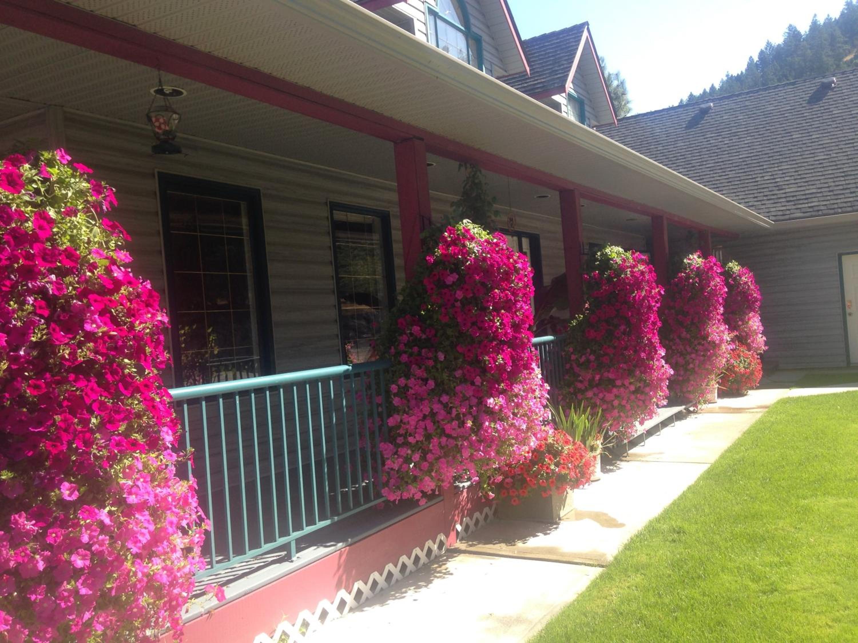 Eagle's Nest B&B
