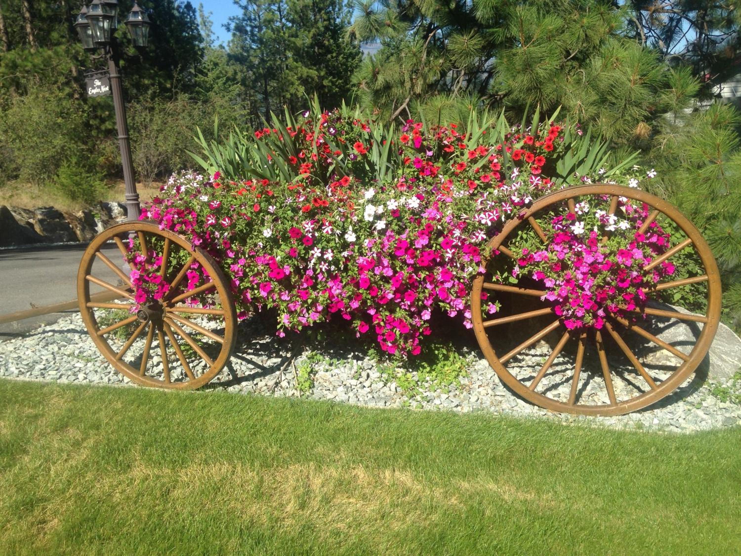 Eagle's Nest B&B